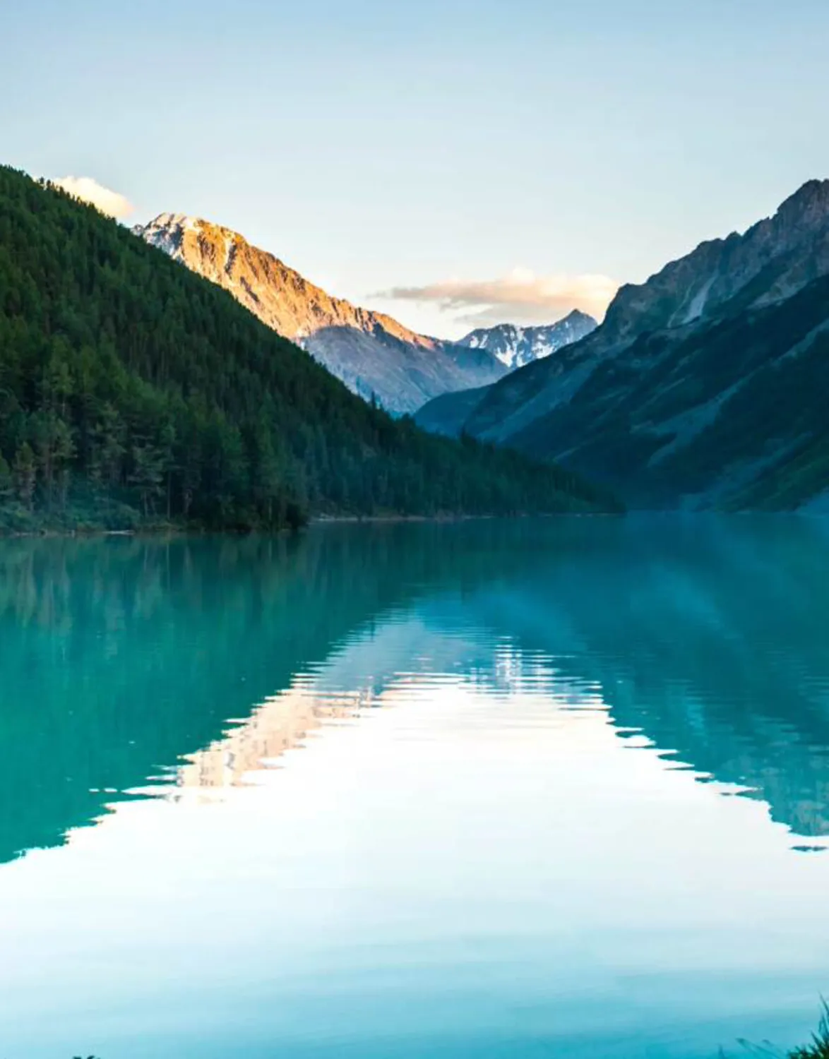 Emanuela Spaggiari | Identità visiva