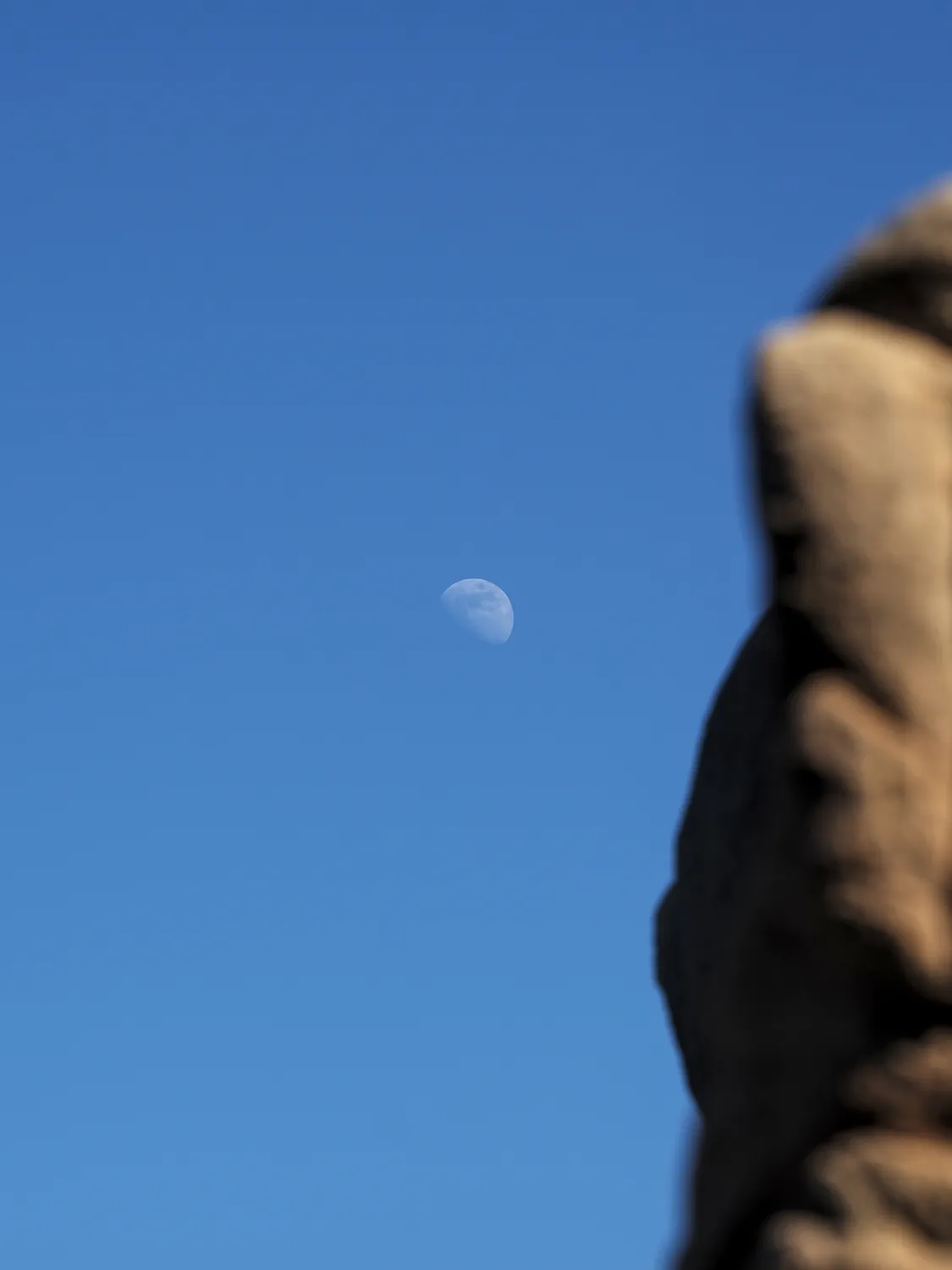 Il profondo è la pelle