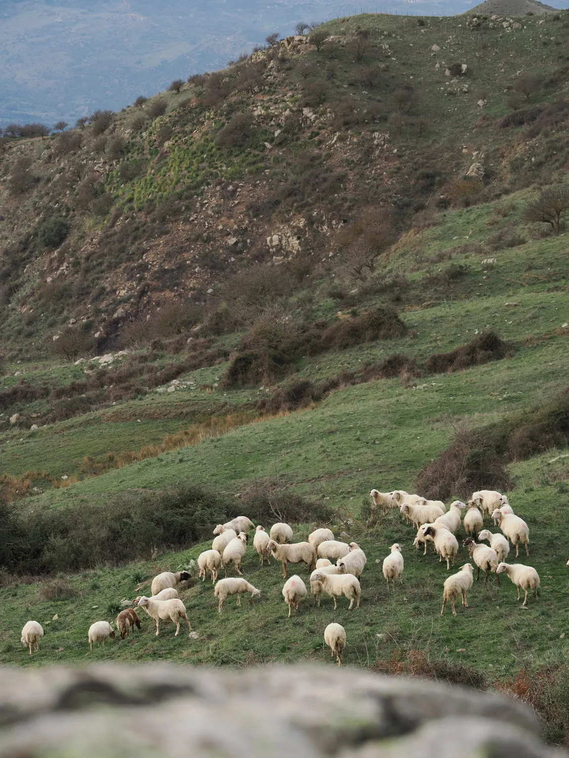 La Pampa di Tagghjavia