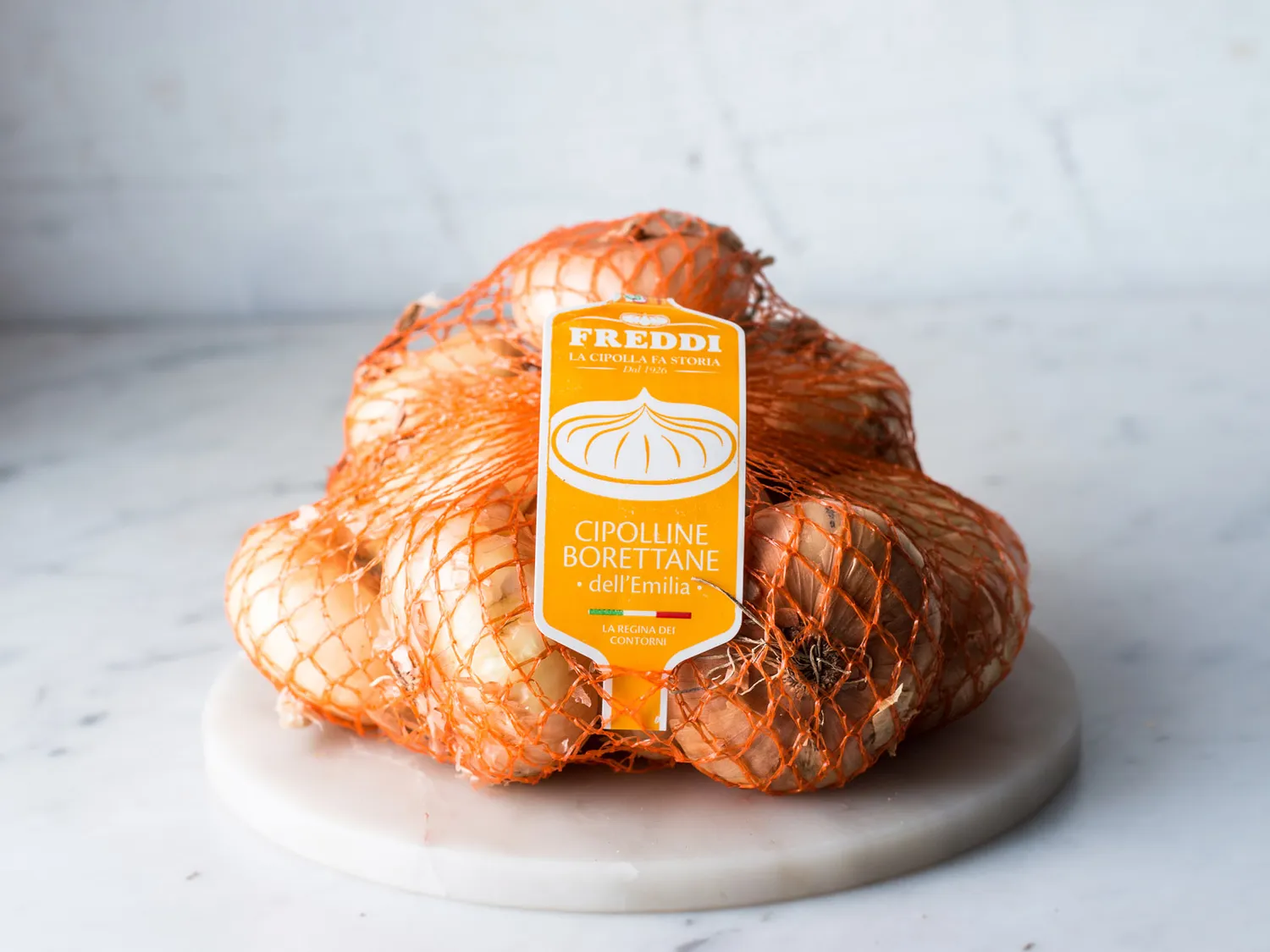 Freddi | Identità visiva