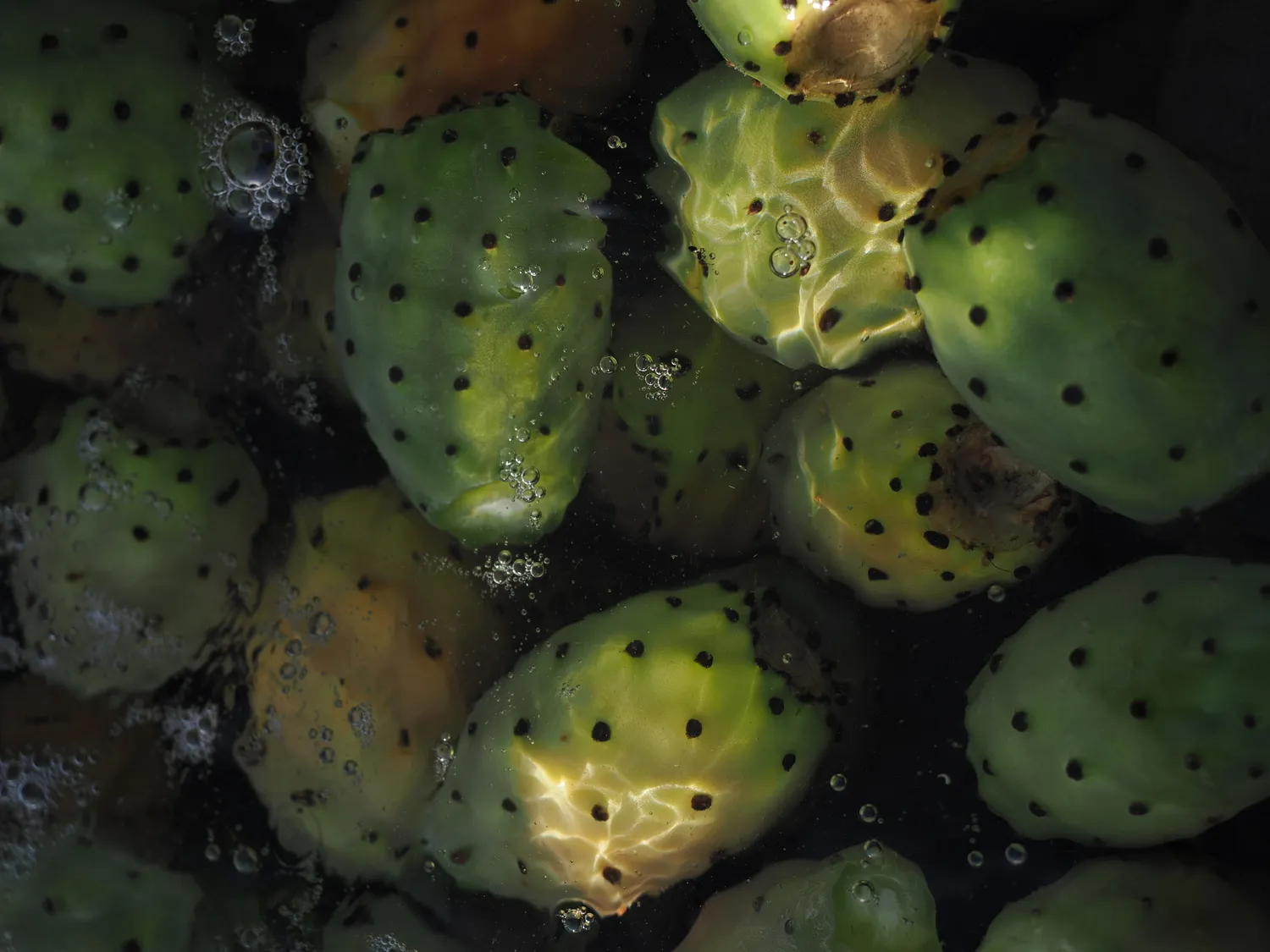 Fichi d'india al mare