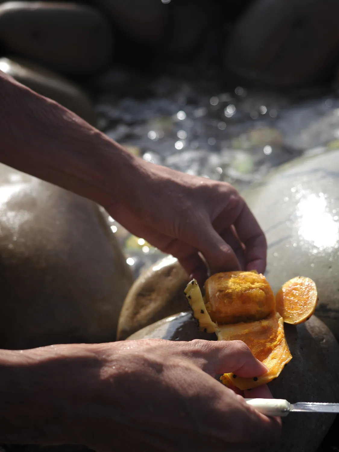 Fichi d'india al mare