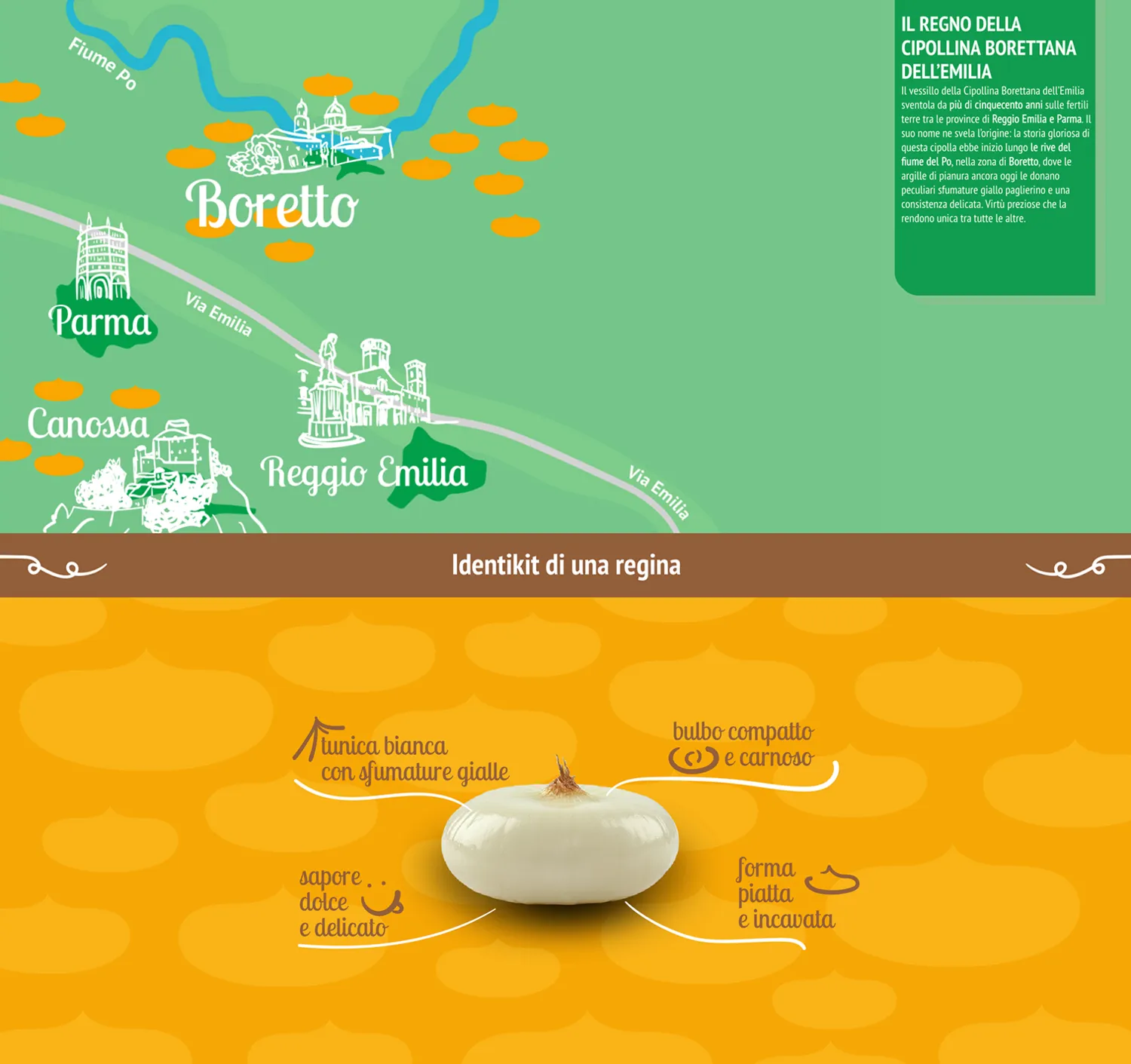 Freddi | Identità visiva