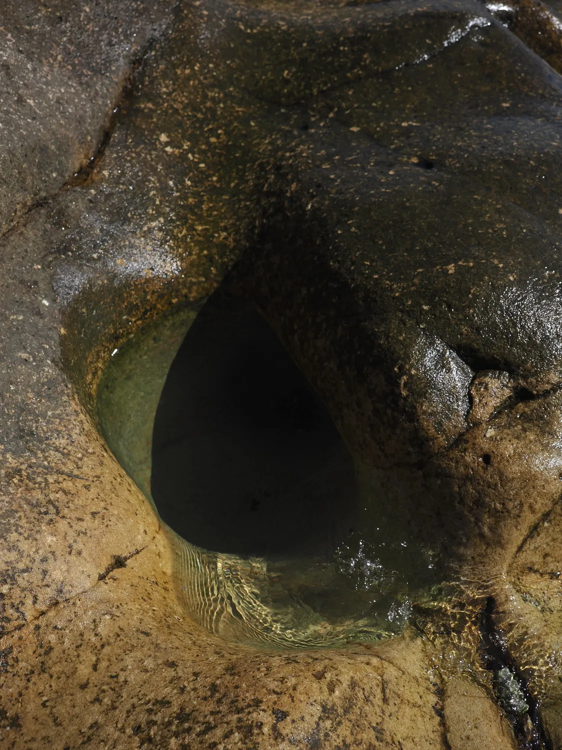 Il profondo è la pelle