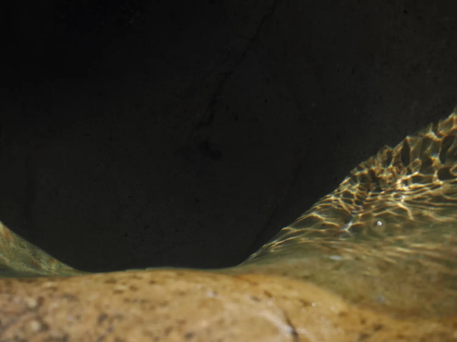 Il profondo è la pelle