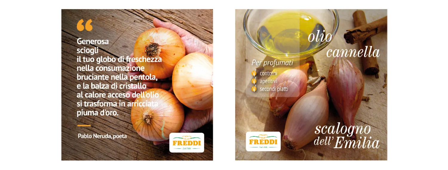 Freddi | Identità visiva