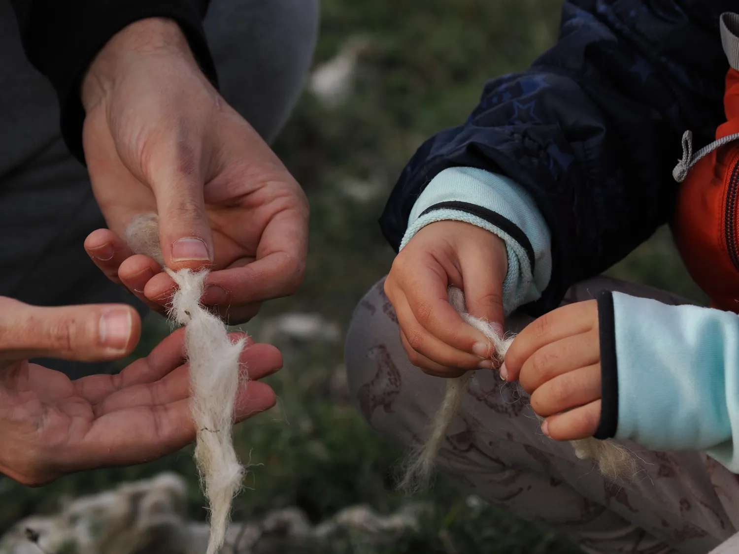 La Pampa di Tagghjavia