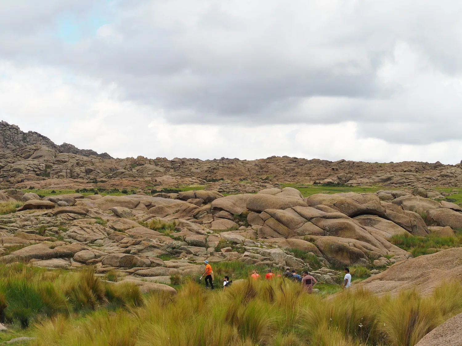 Taruca Pampa | Sierra de Córdoba, Argentina