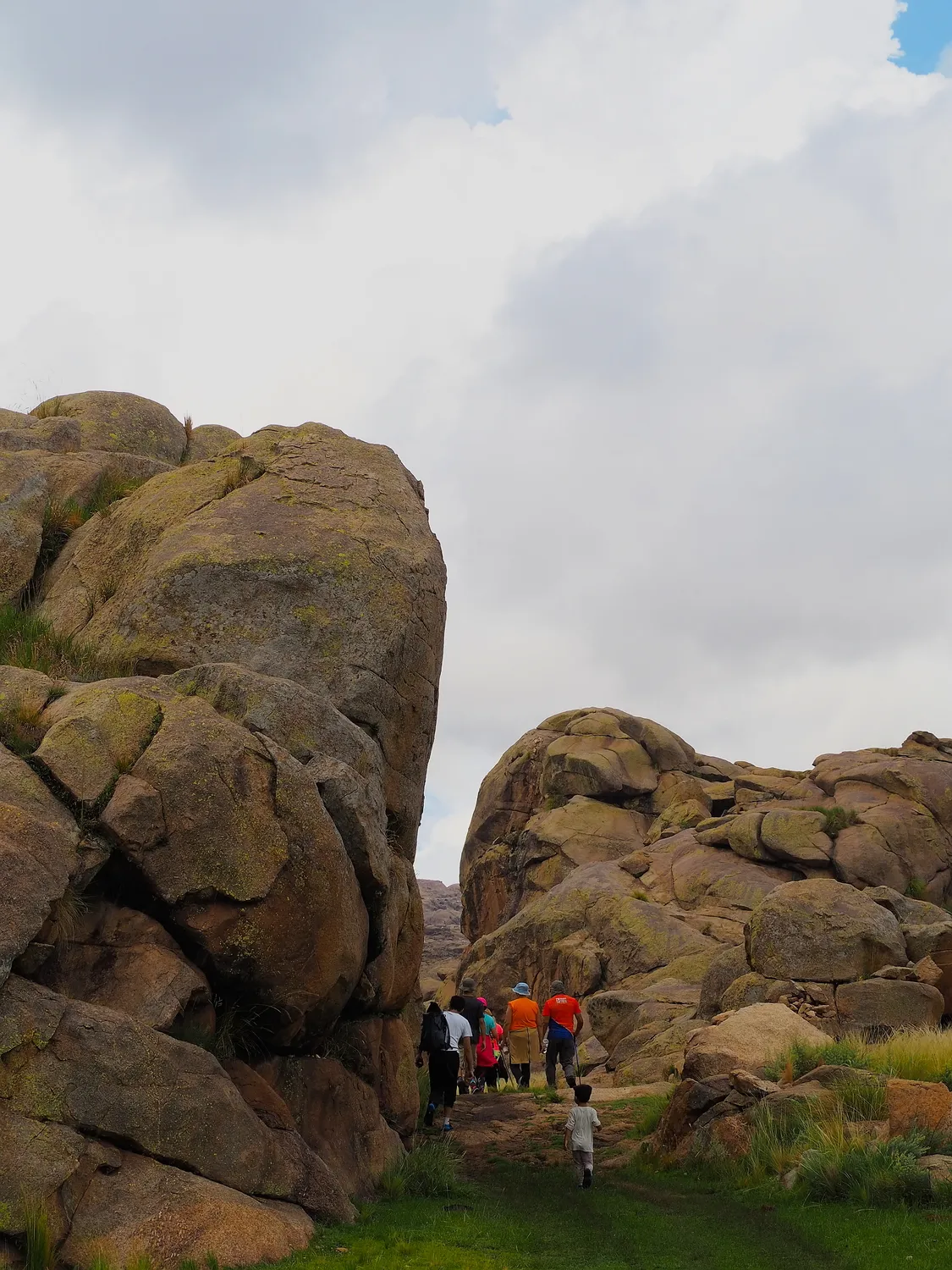 Taruca Pampa | Sierra de Córdoba, Argentina