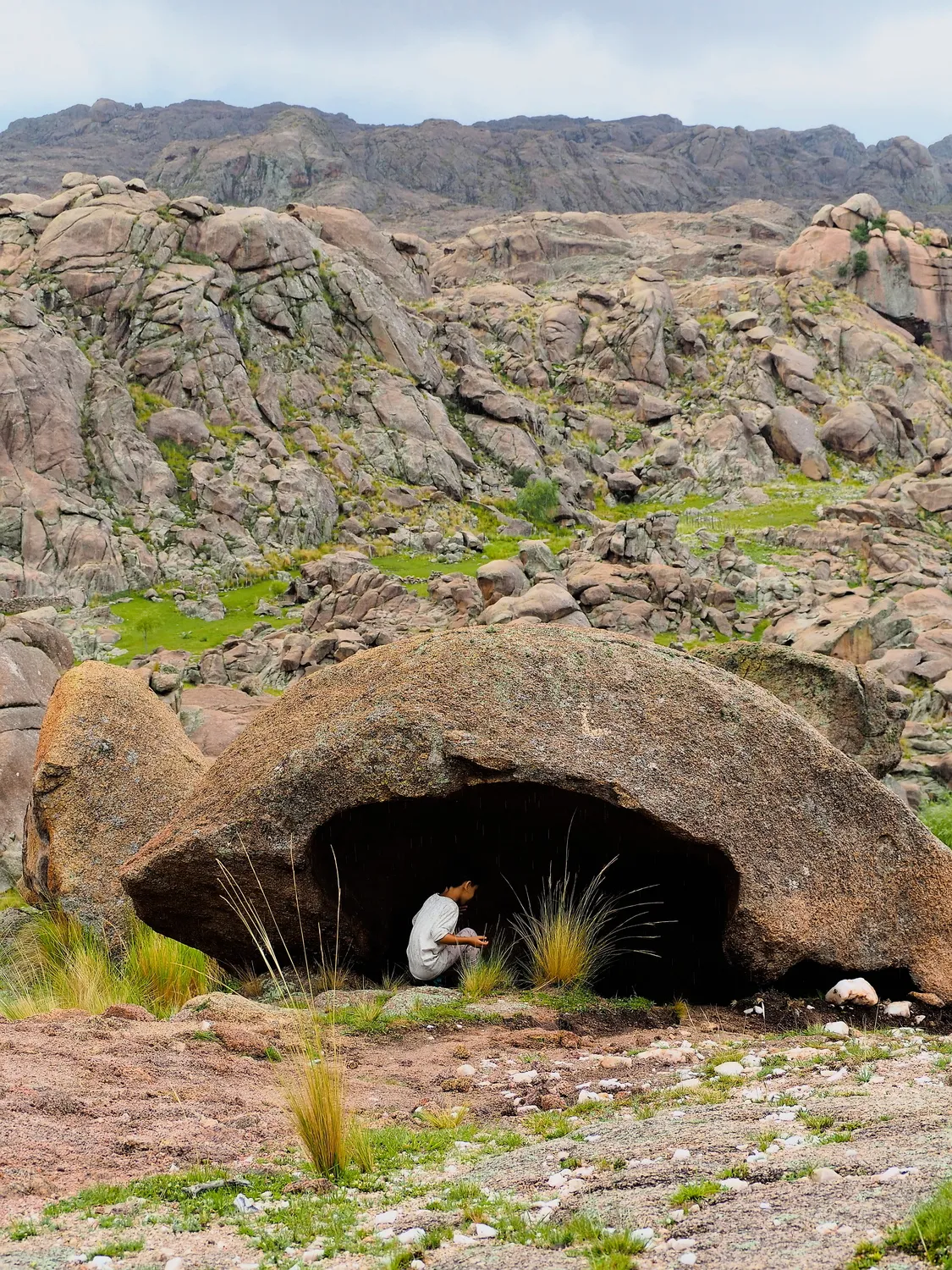 Taruca Pampa | Sierra de Córdoba, Argentina