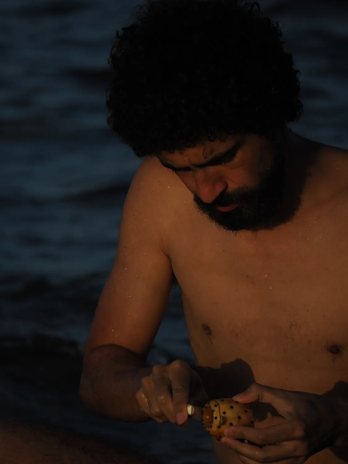 Fichi d'india al mare