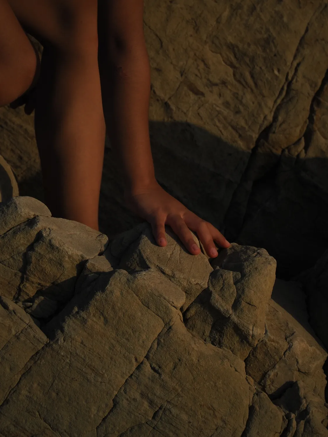 Fichi d'india al mare