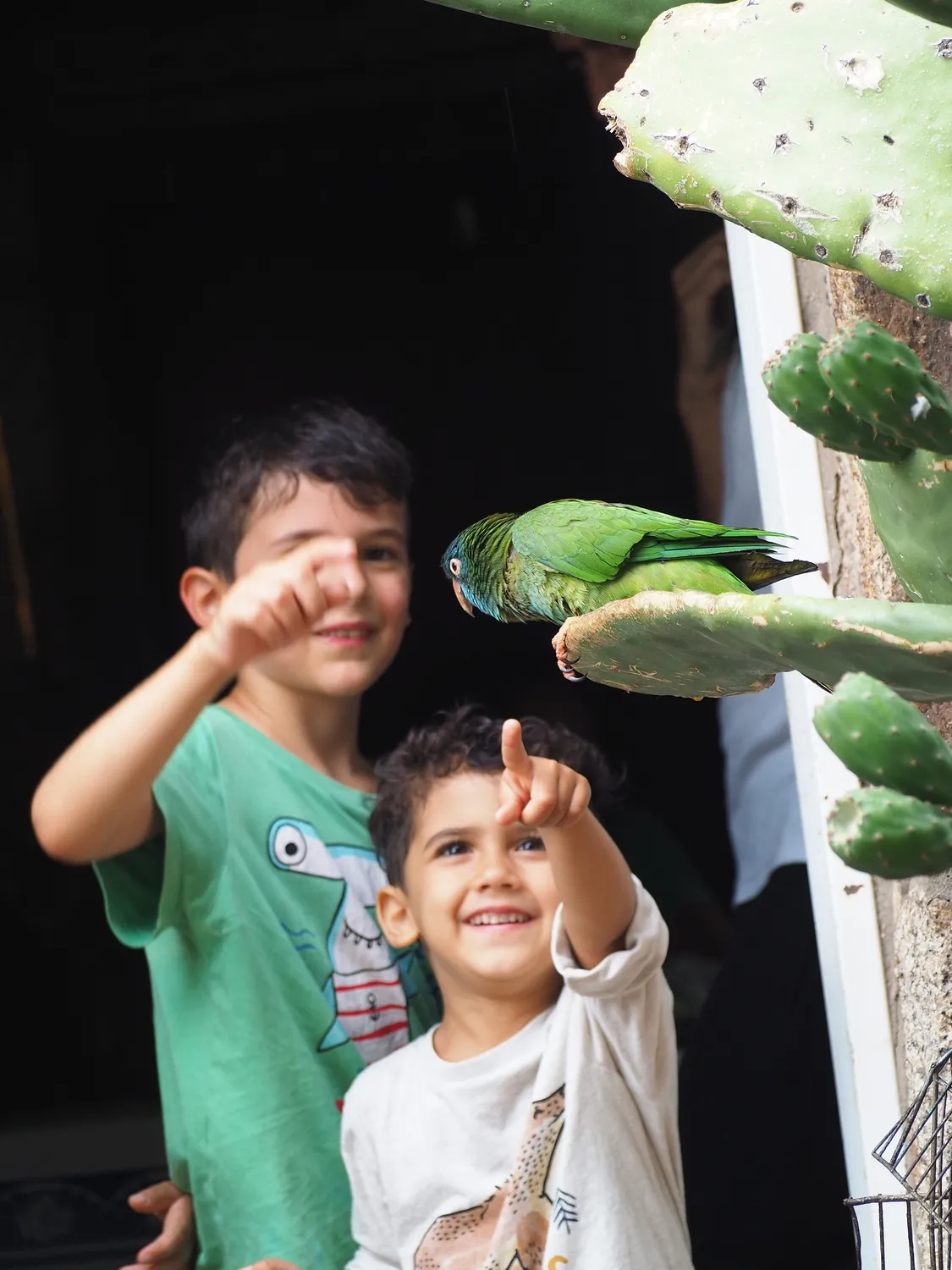 Taruca Pampa | Sierra de Córdoba, Argentina