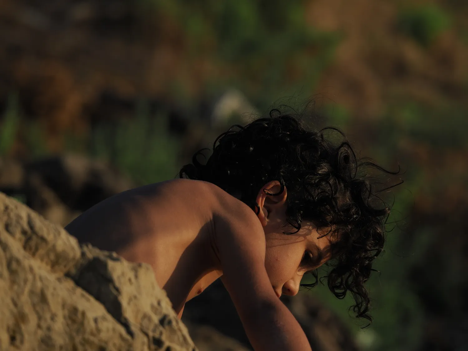 Fichi d'india al mare