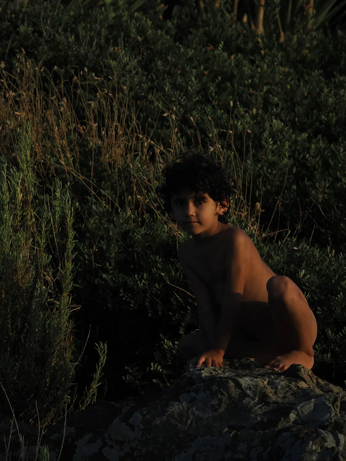 Fichi d'india al mare