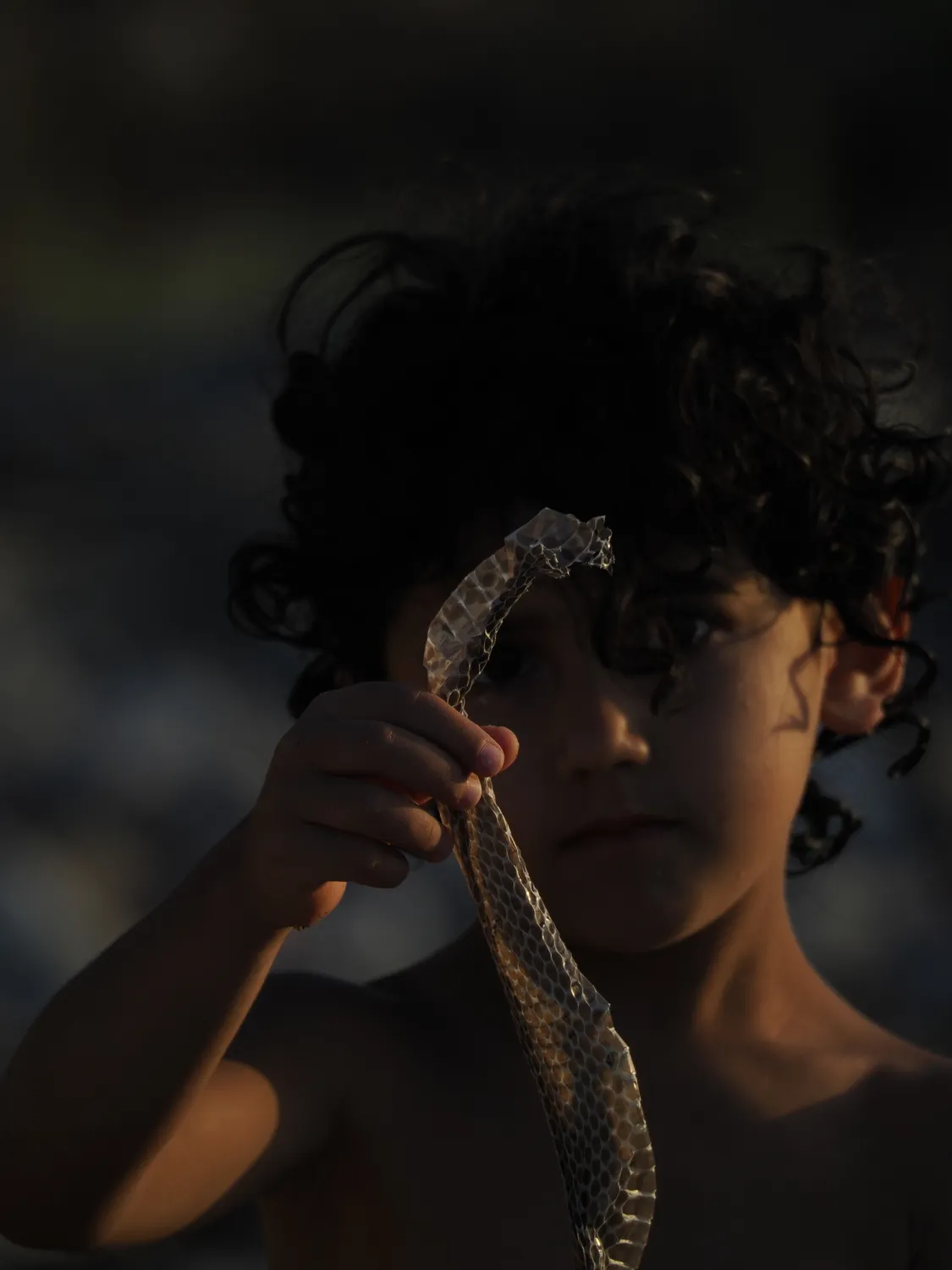 Fichi d'india al mare