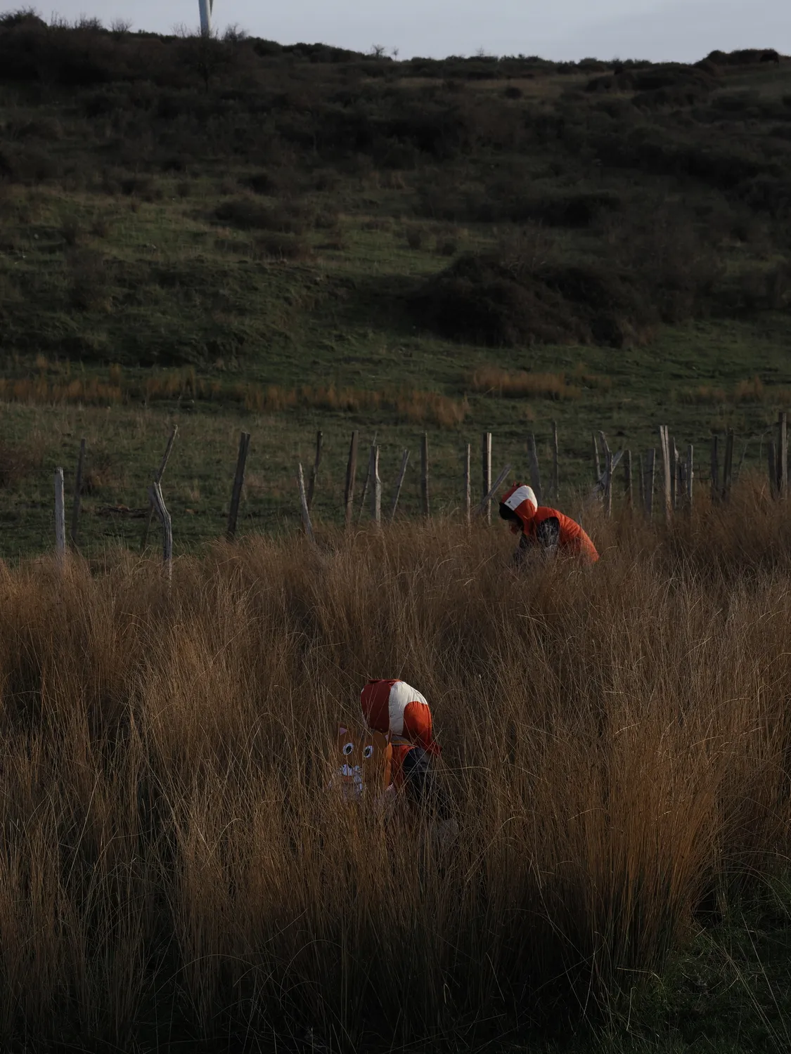 La Pampa di Tagghjavia