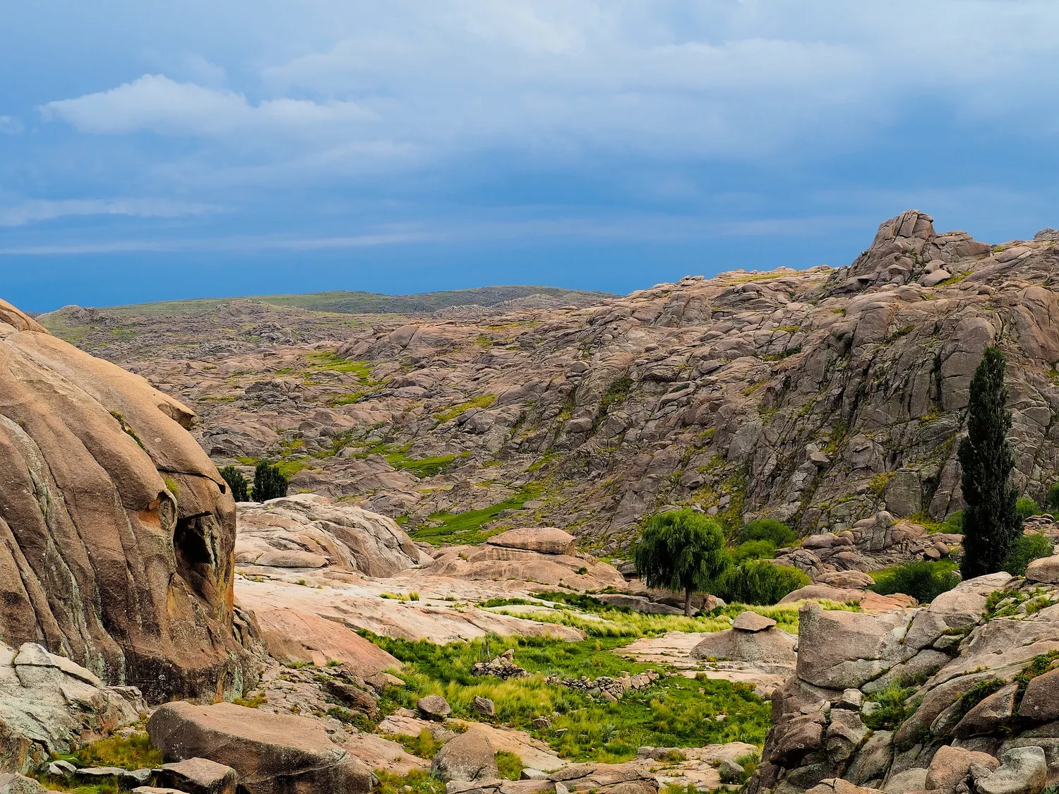 Taruca Pampa | Sierra de Córdoba, Argentina