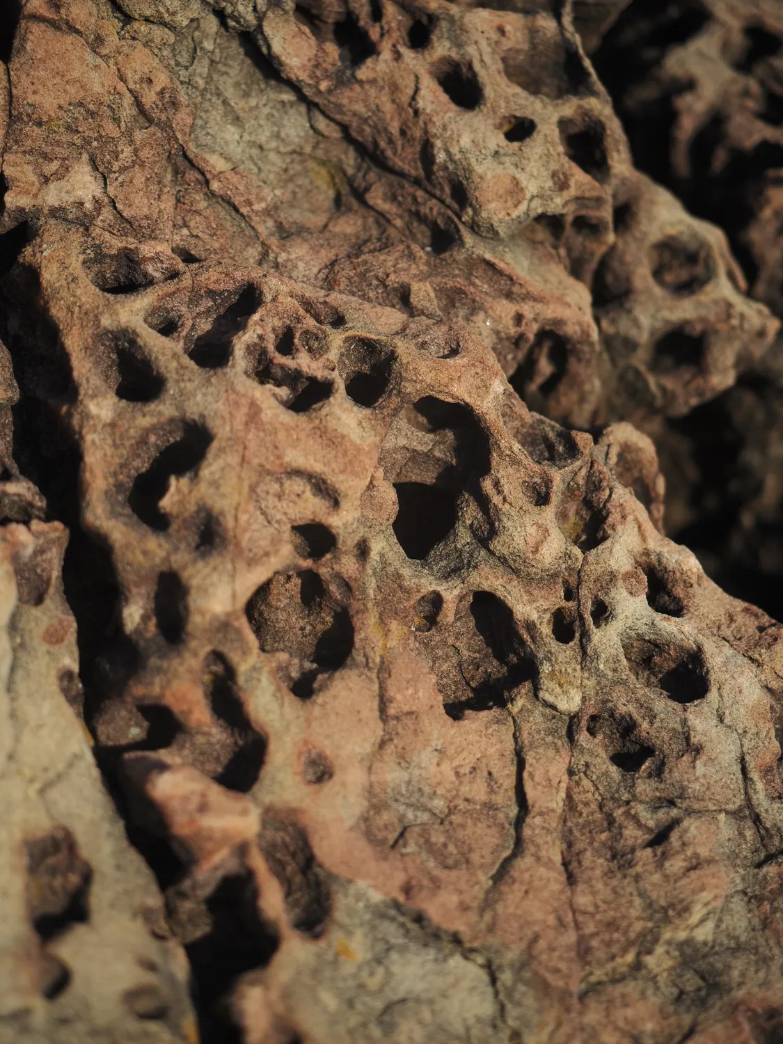 Il profondo è la pelle