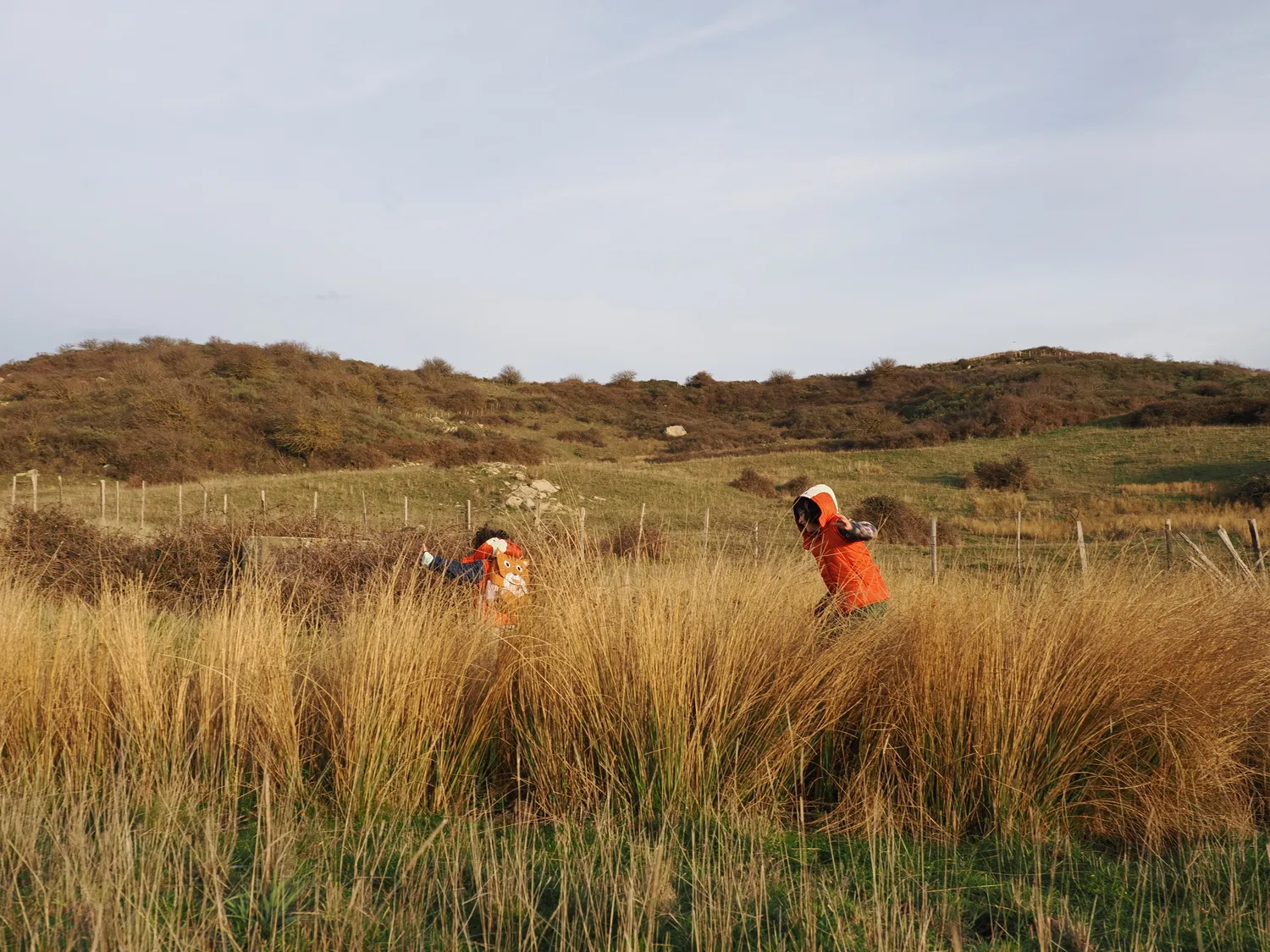 La Pampa di Tagghjavia