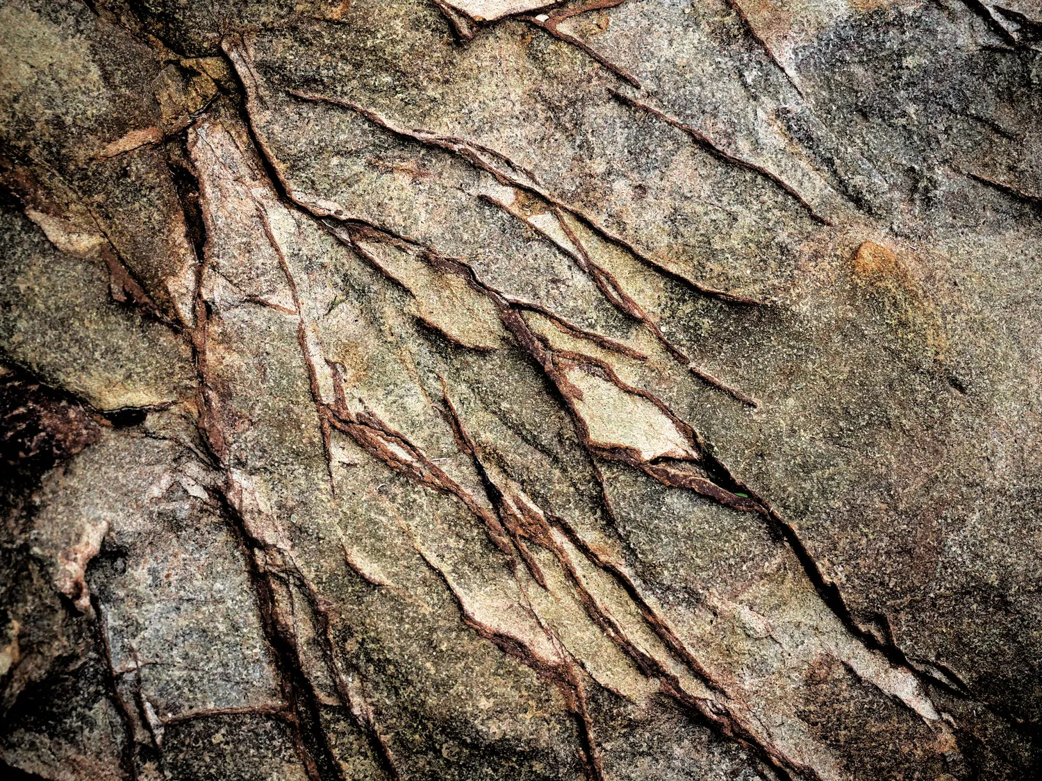 Il profondo è la pelle