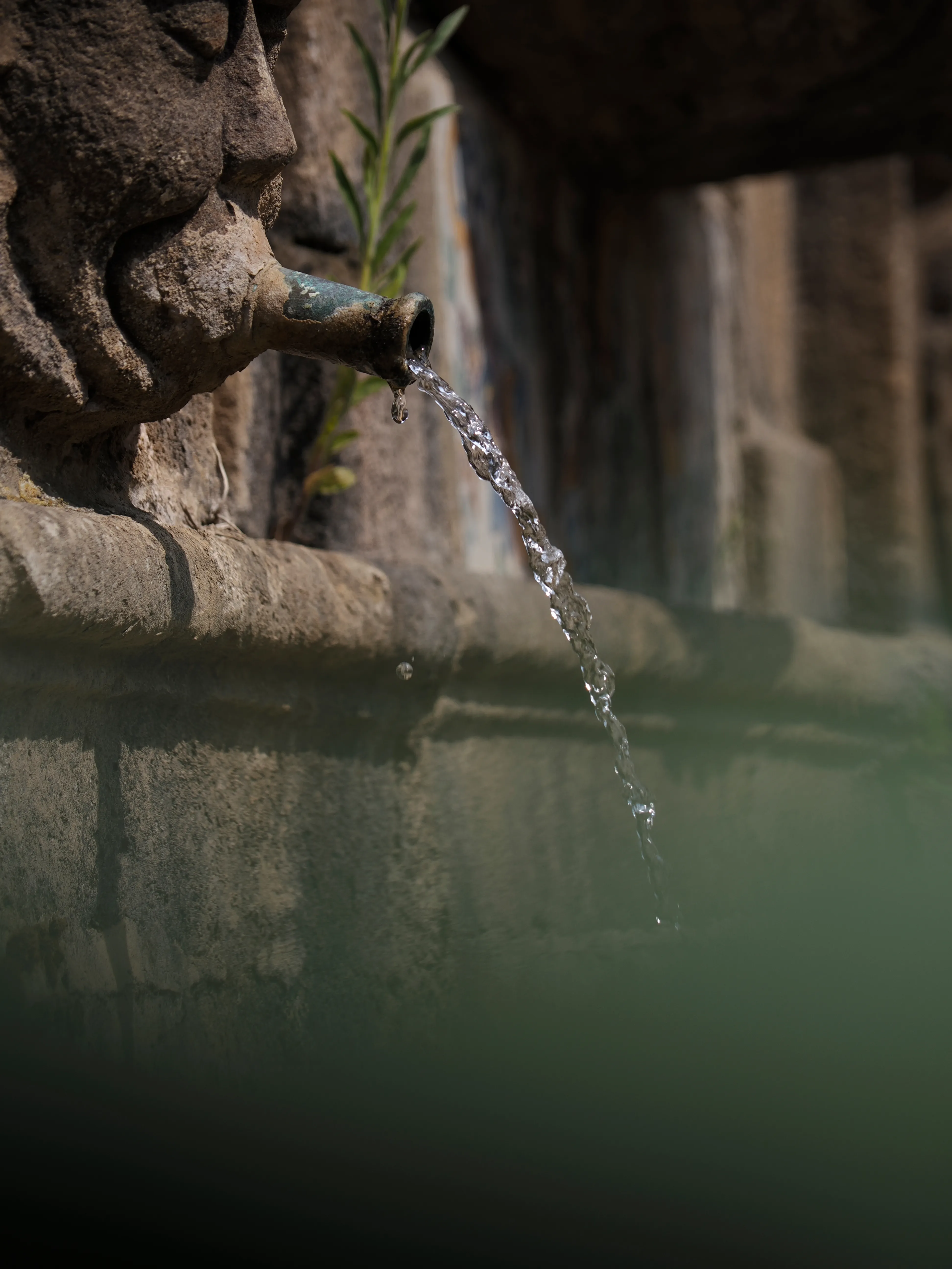 Prima di lasciare questa regale dimora