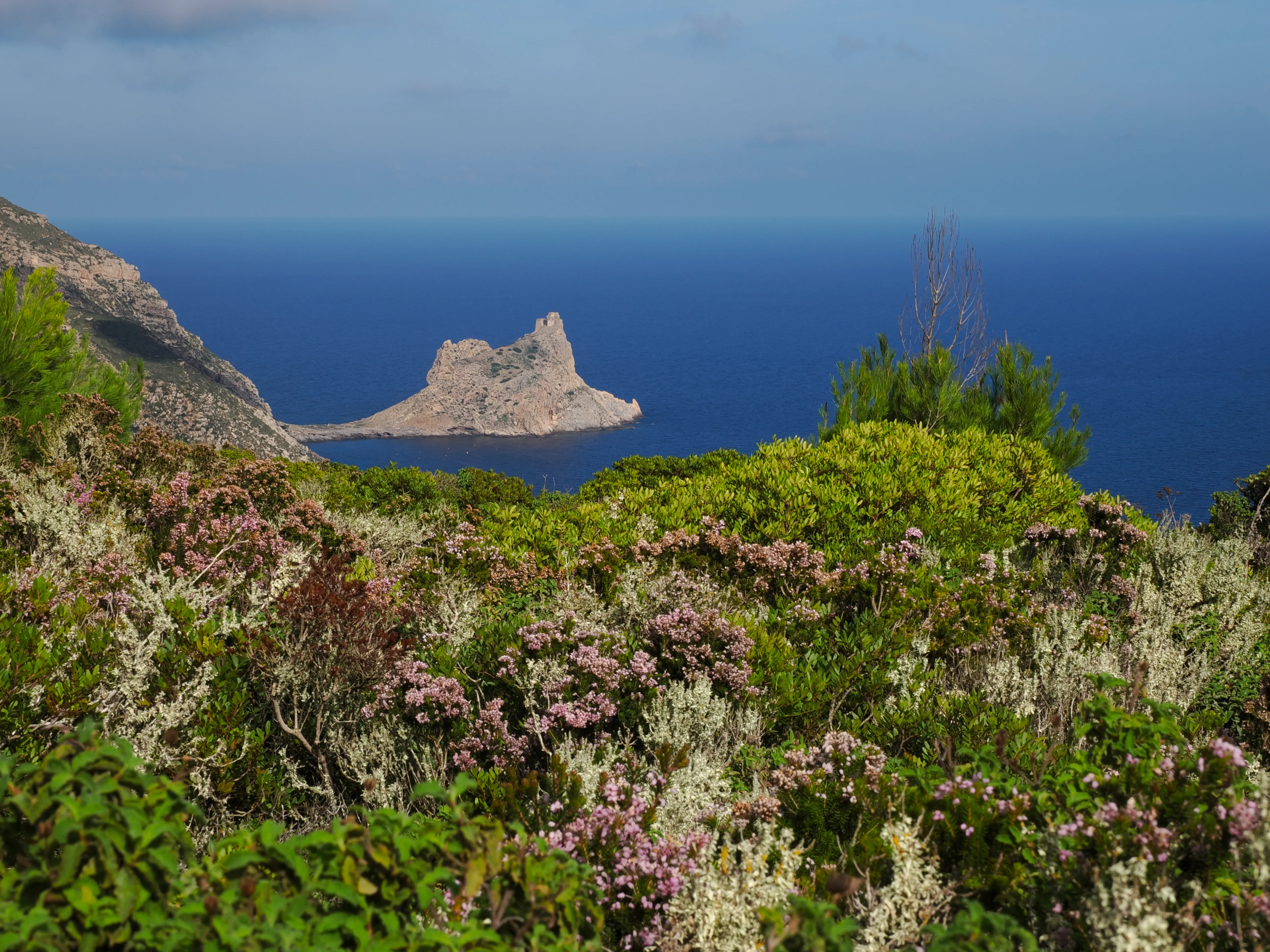 Respiro fiorito dell'autunno a Marettimo. Fotografia del sentire