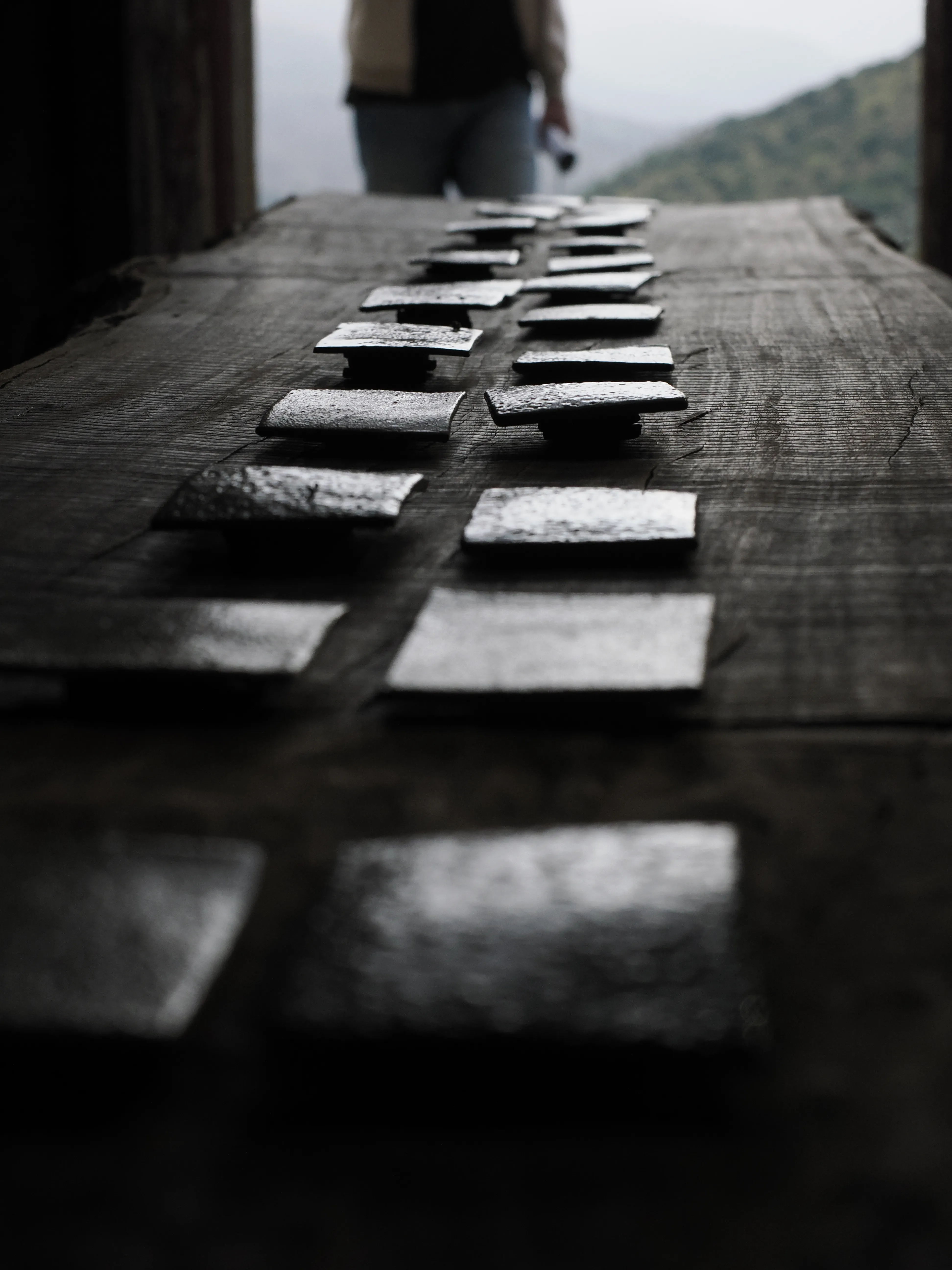 Régis Baudy. Lo chef artista e la sua poetica del vegetale.