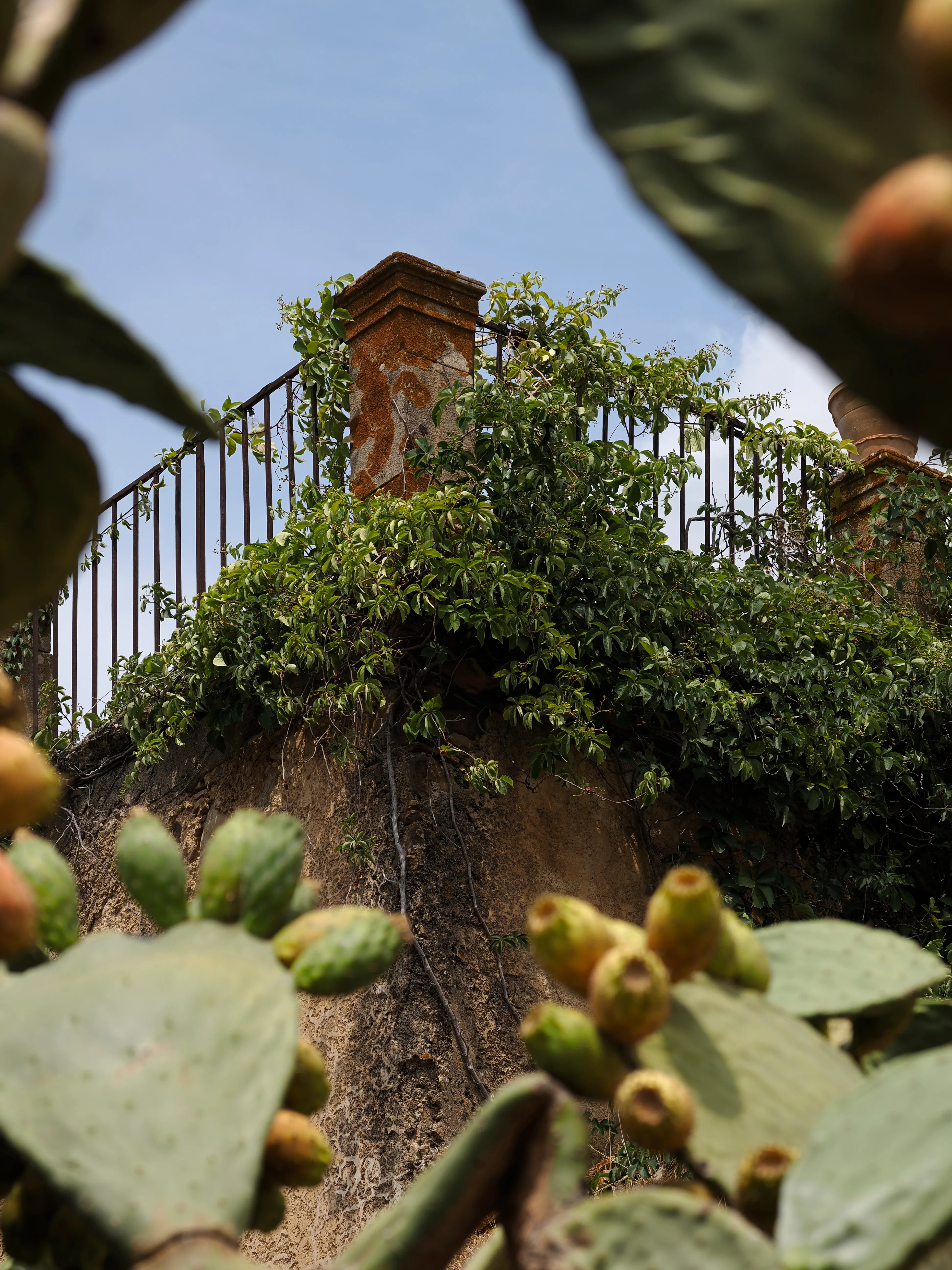 Prima di lasciare questa regale dimora