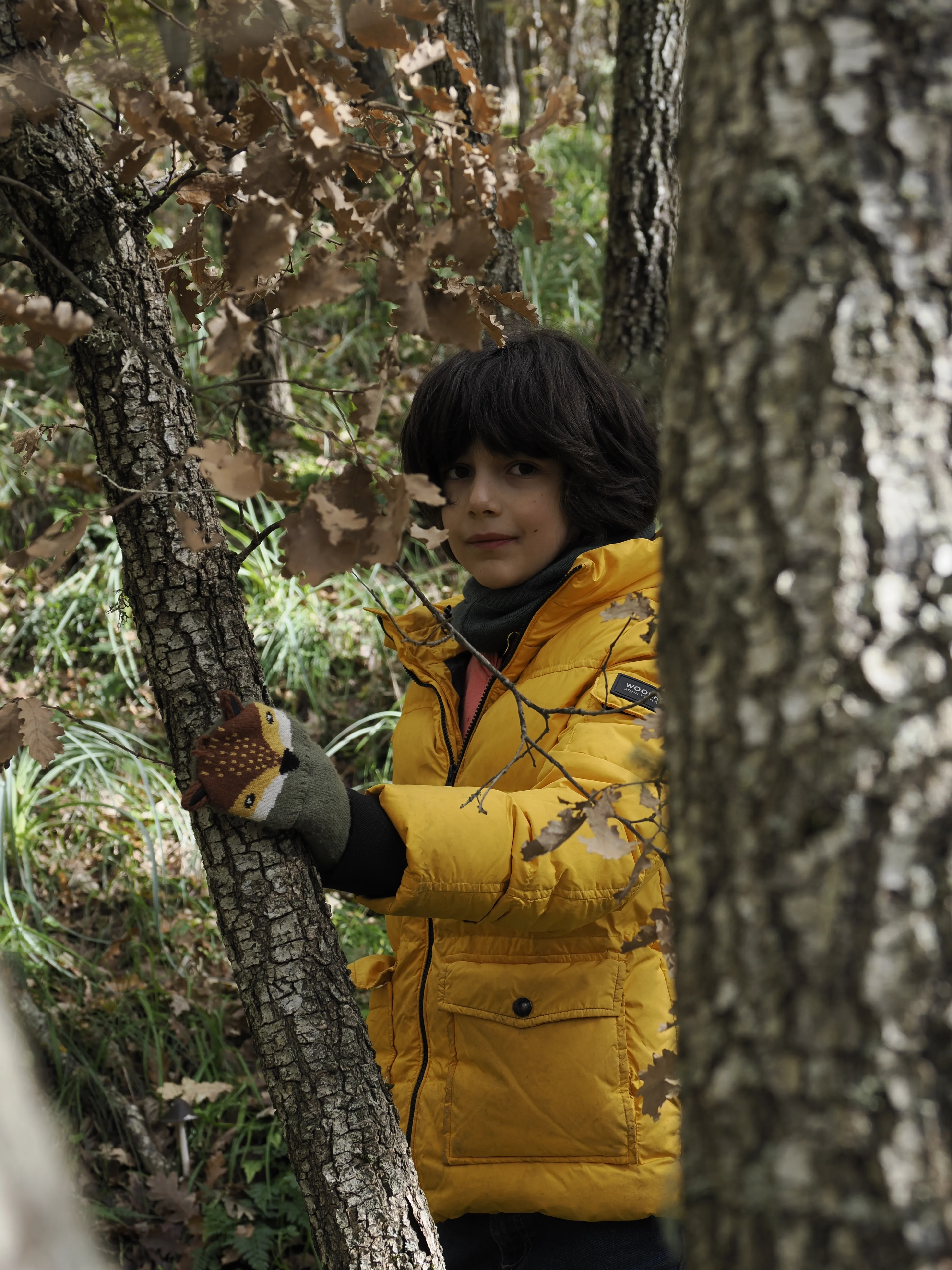 Dwelling in Nature with Olympus