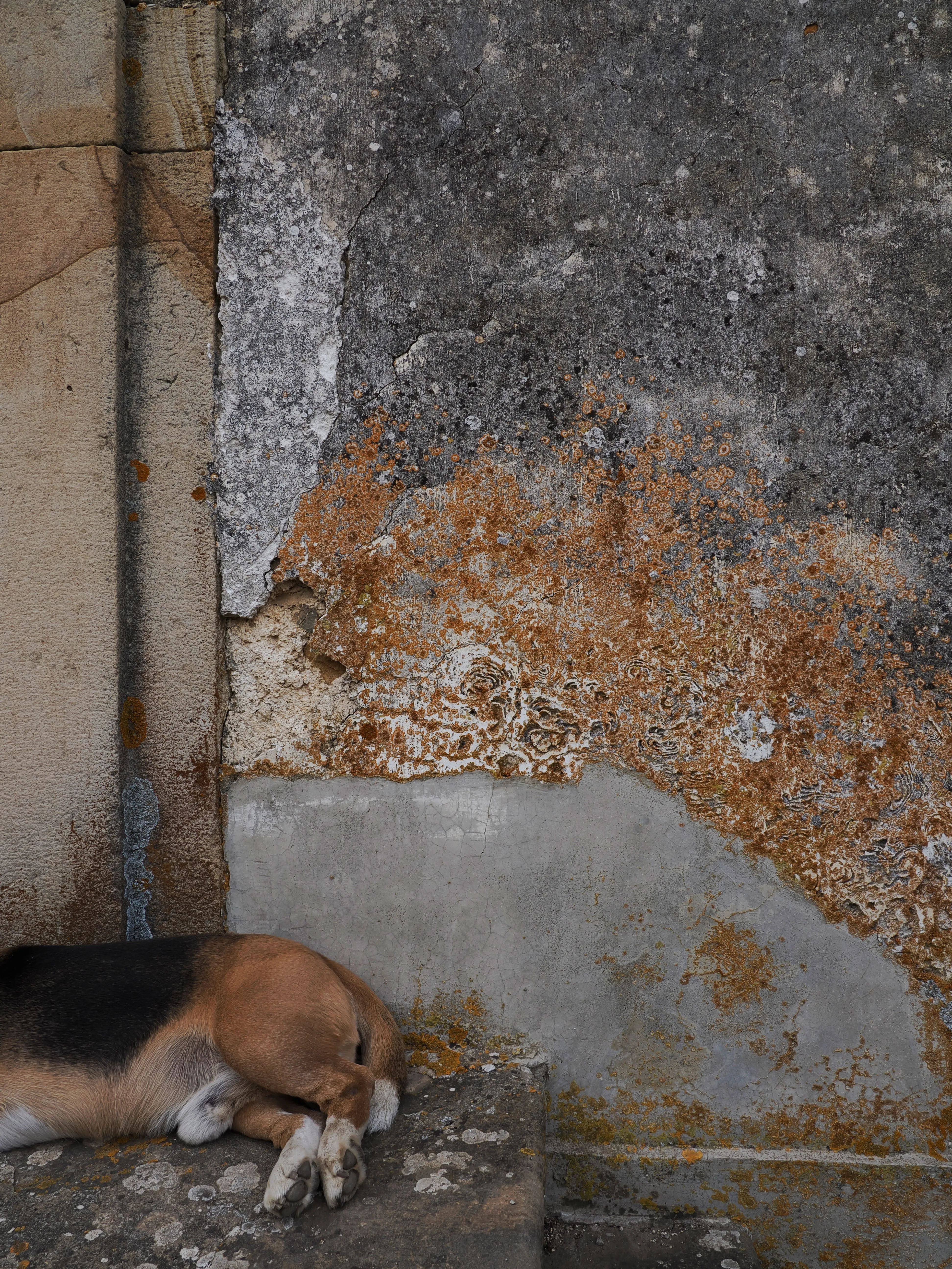 Prima di lasciare questa regale dimora