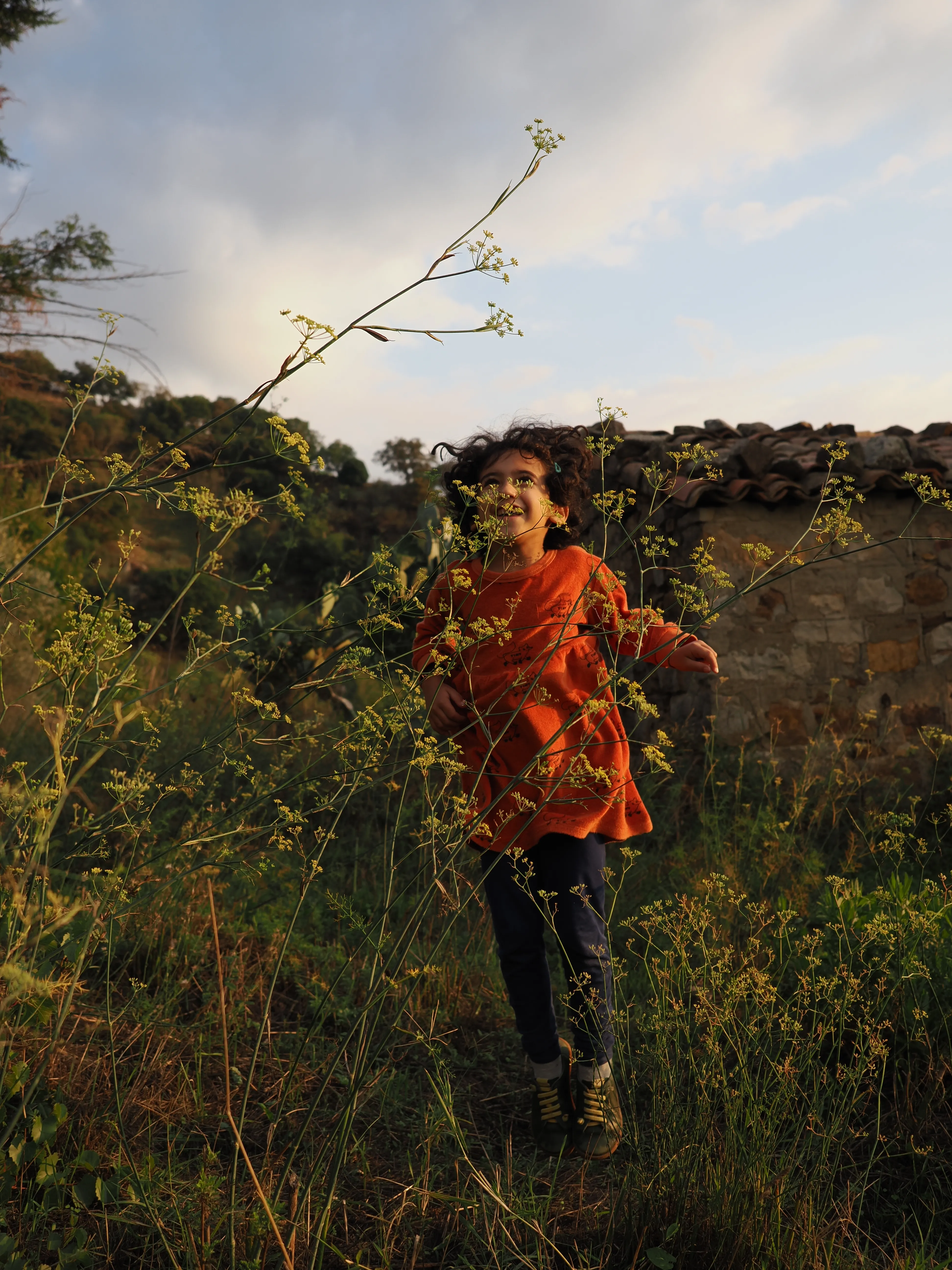 Dwelling in Nature with Olympus