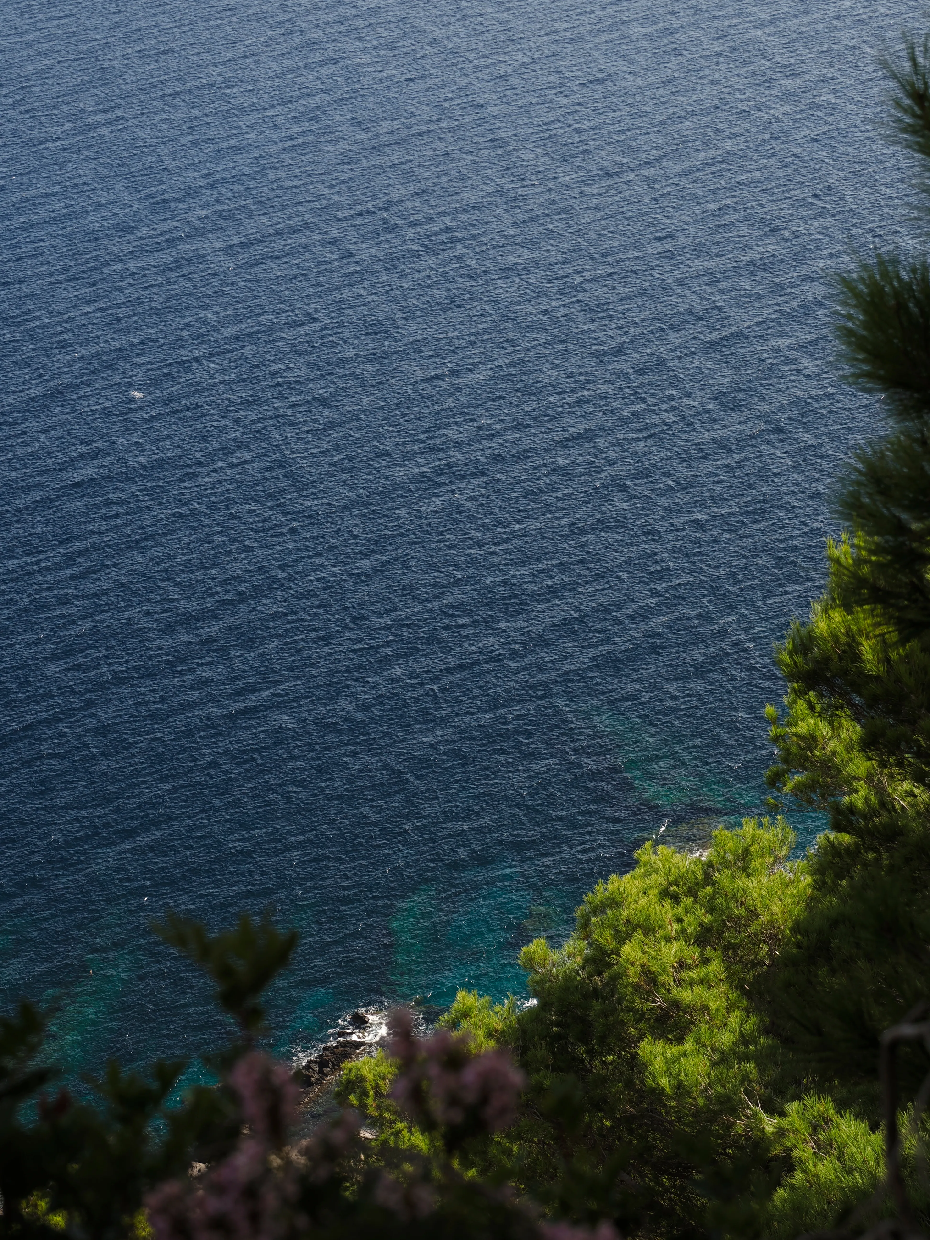Respiro fiorito dell'autunno a Marettimo. Fotografia del sentire