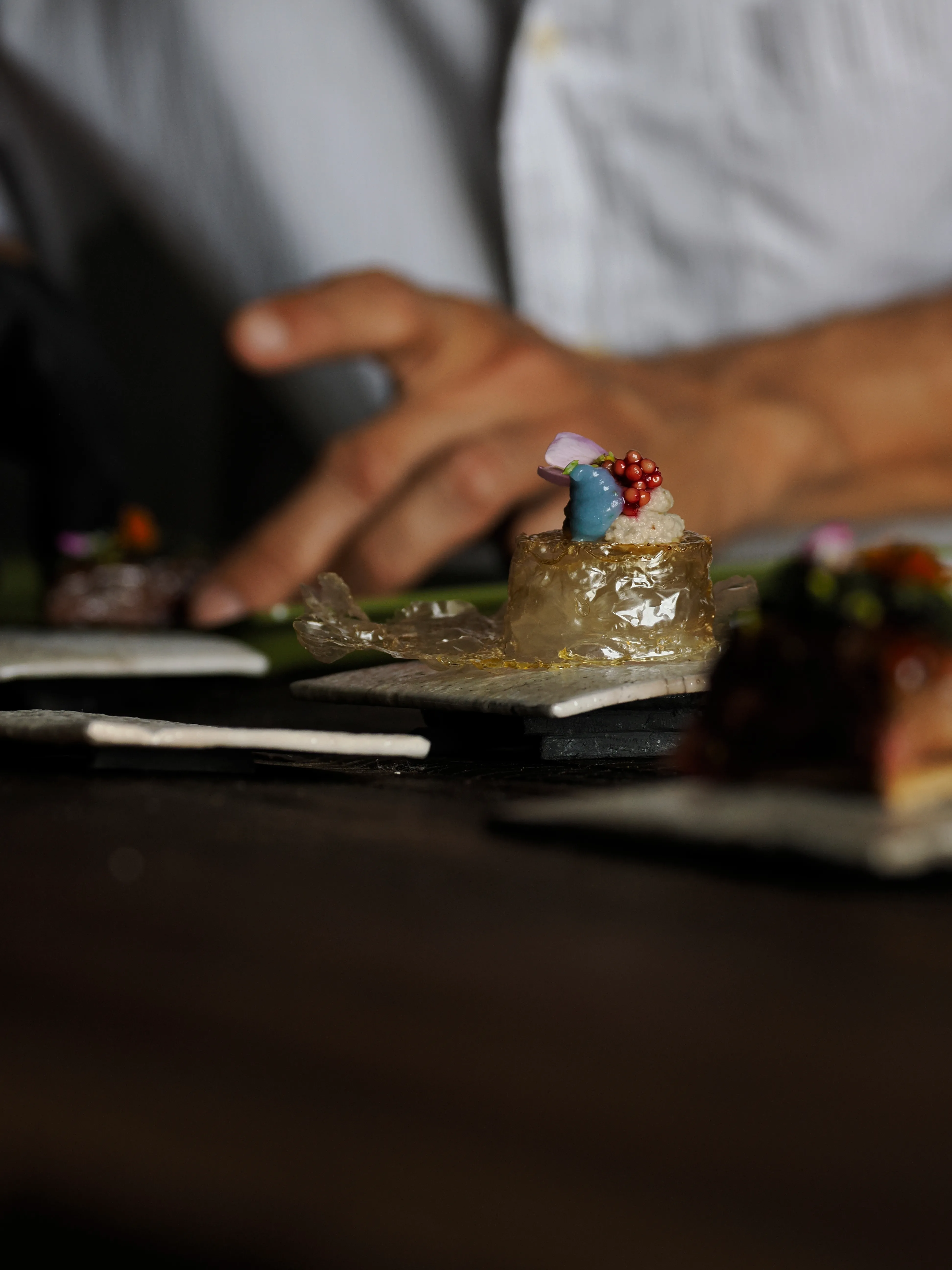 Régis Baudy. Lo chef artista e la sua poetica del vegetale.