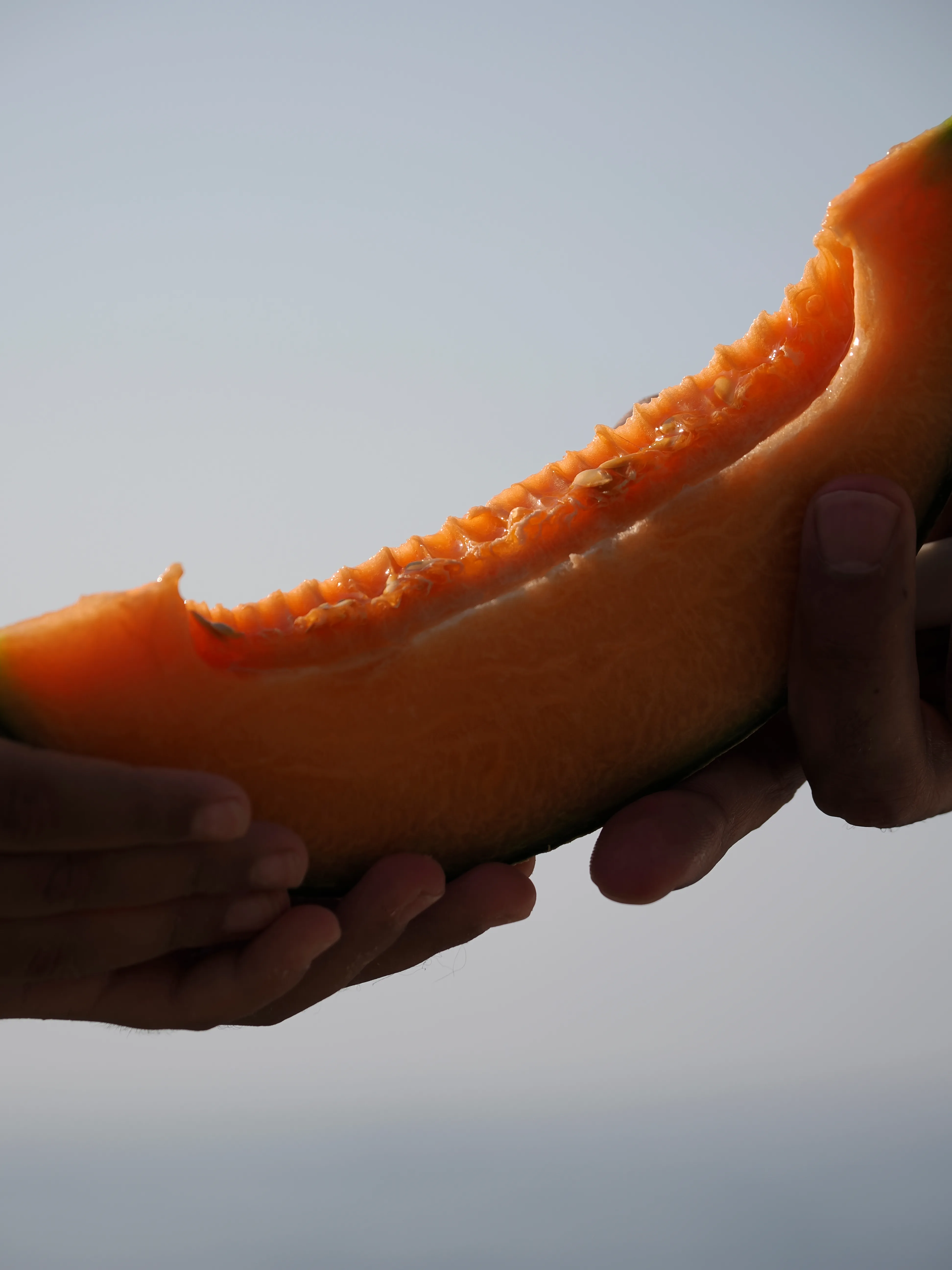 Il succo di un'estate.