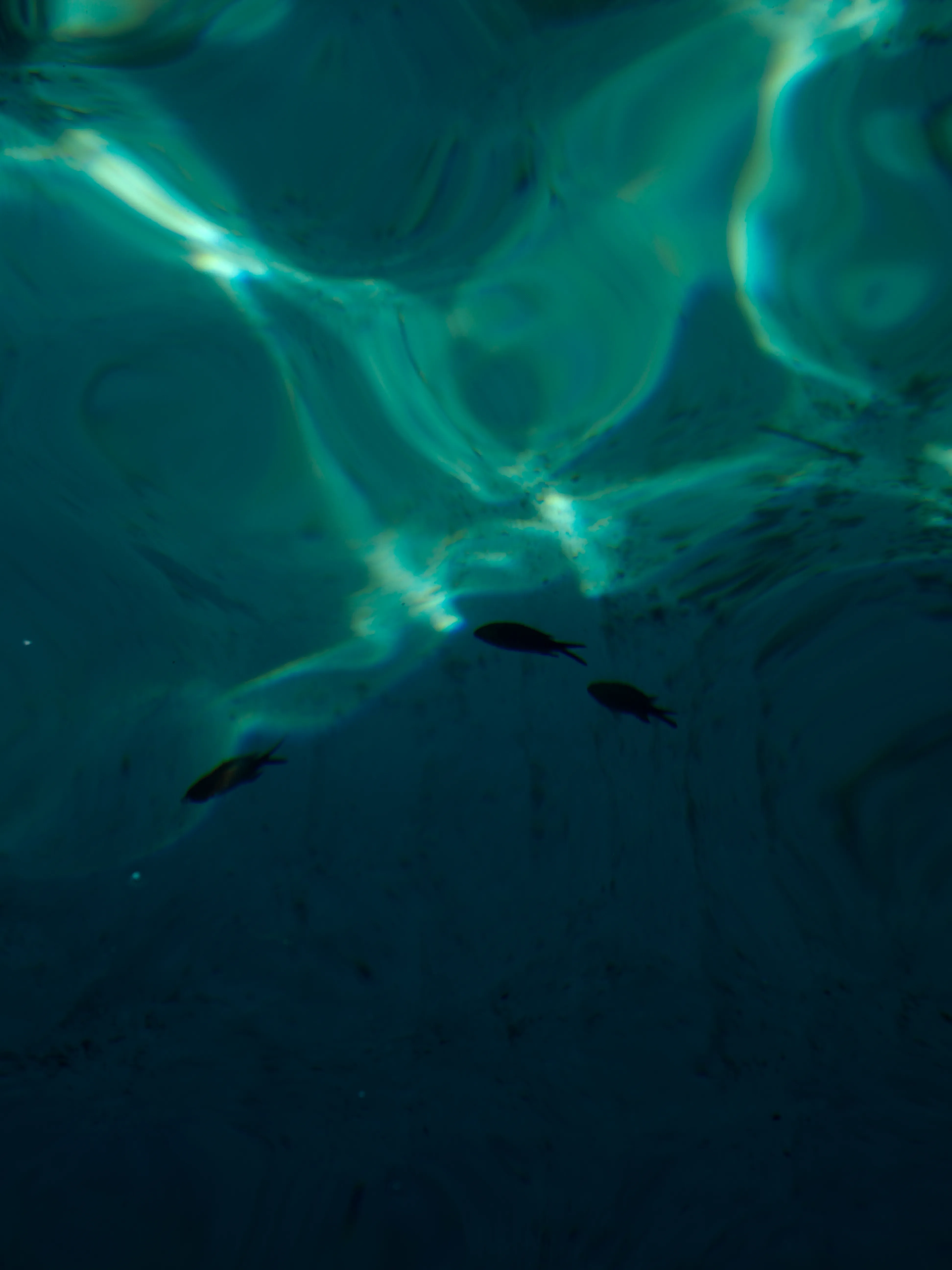 Sguardo a Levanzo. Fotografia del sentire