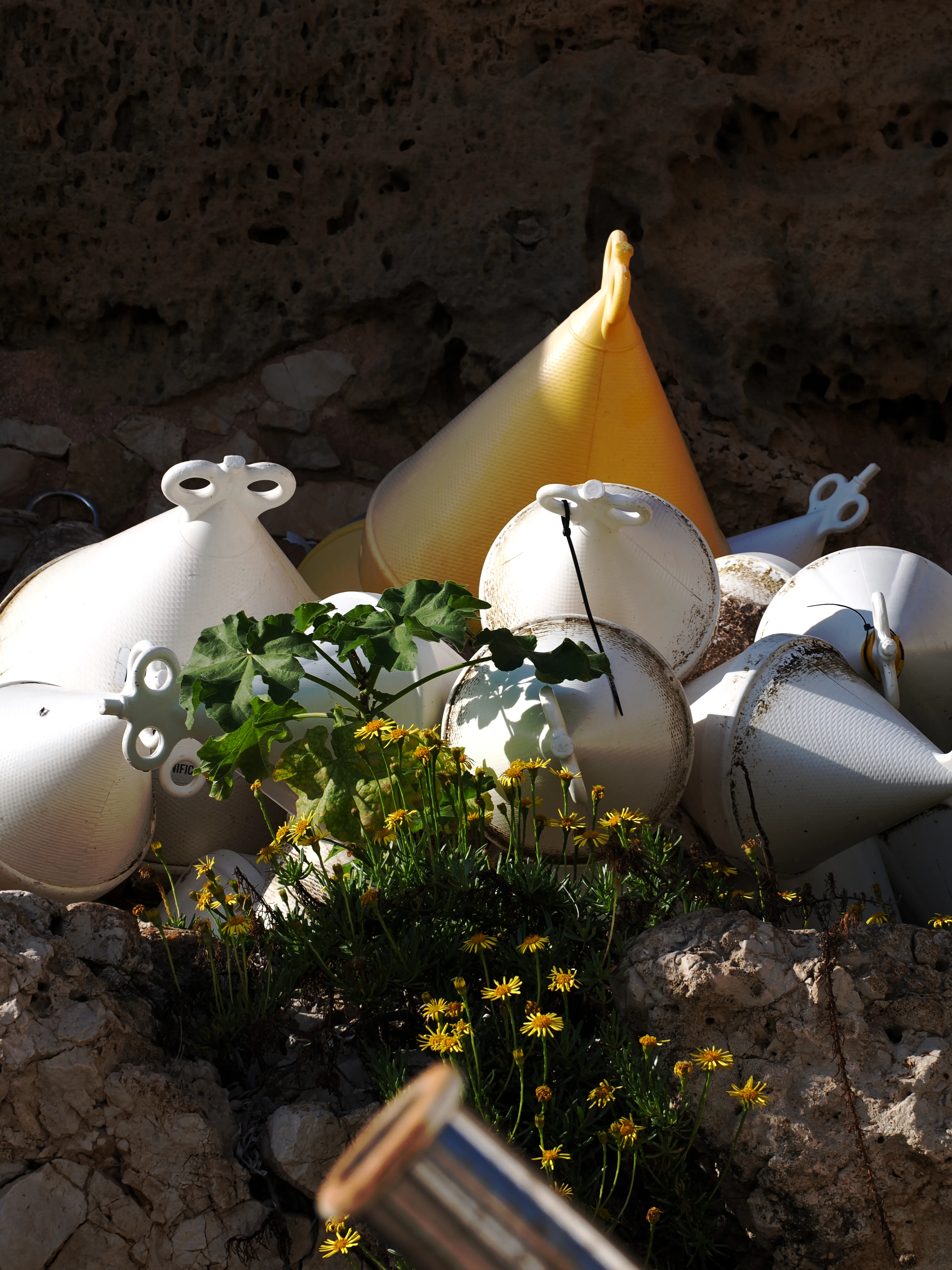 Sguardo a Levanzo. Fotografia del sentire
