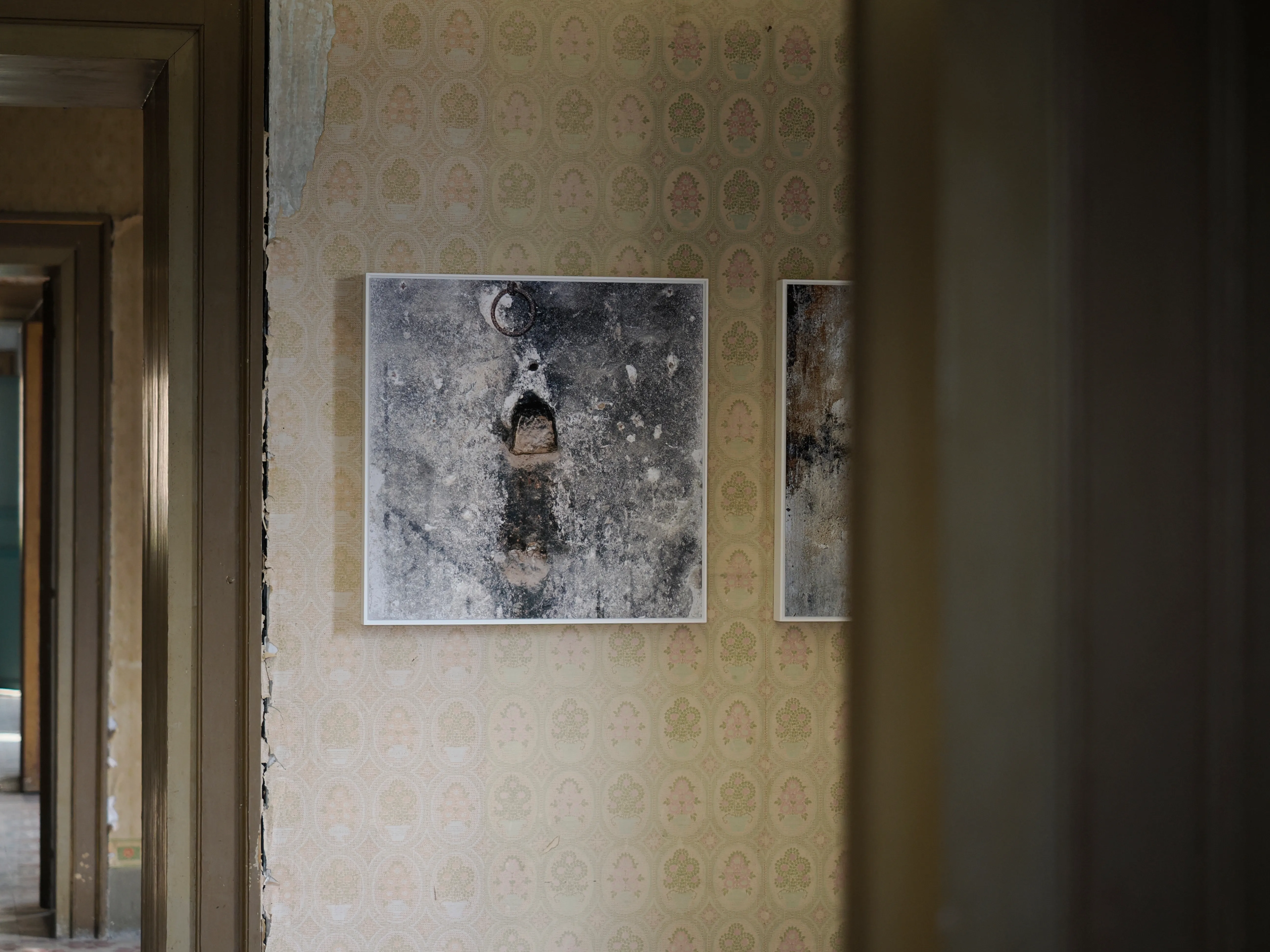 Prima di lasciare questa regale dimora