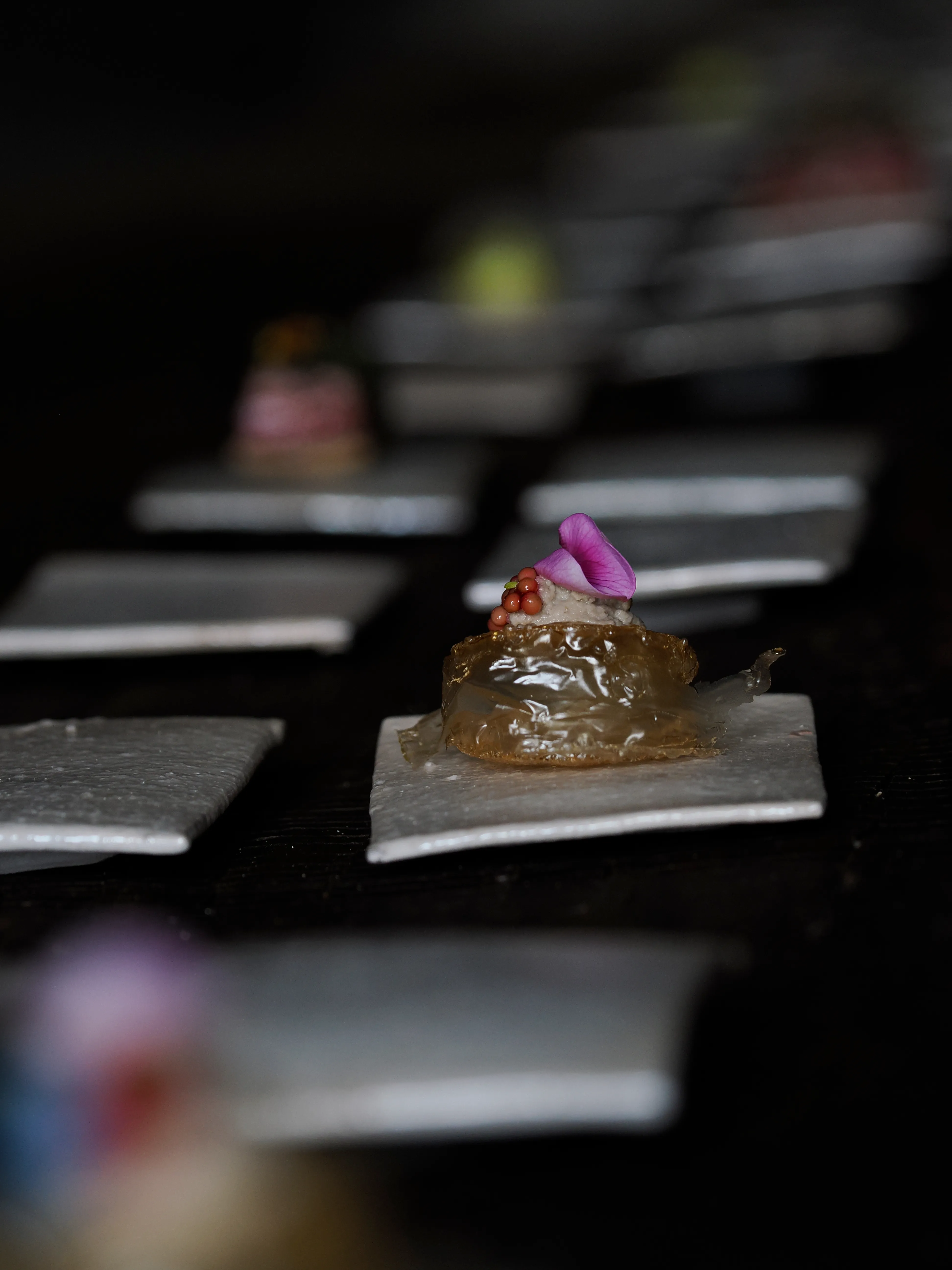 Régis Baudy. Lo chef artista e la sua poetica del vegetale.