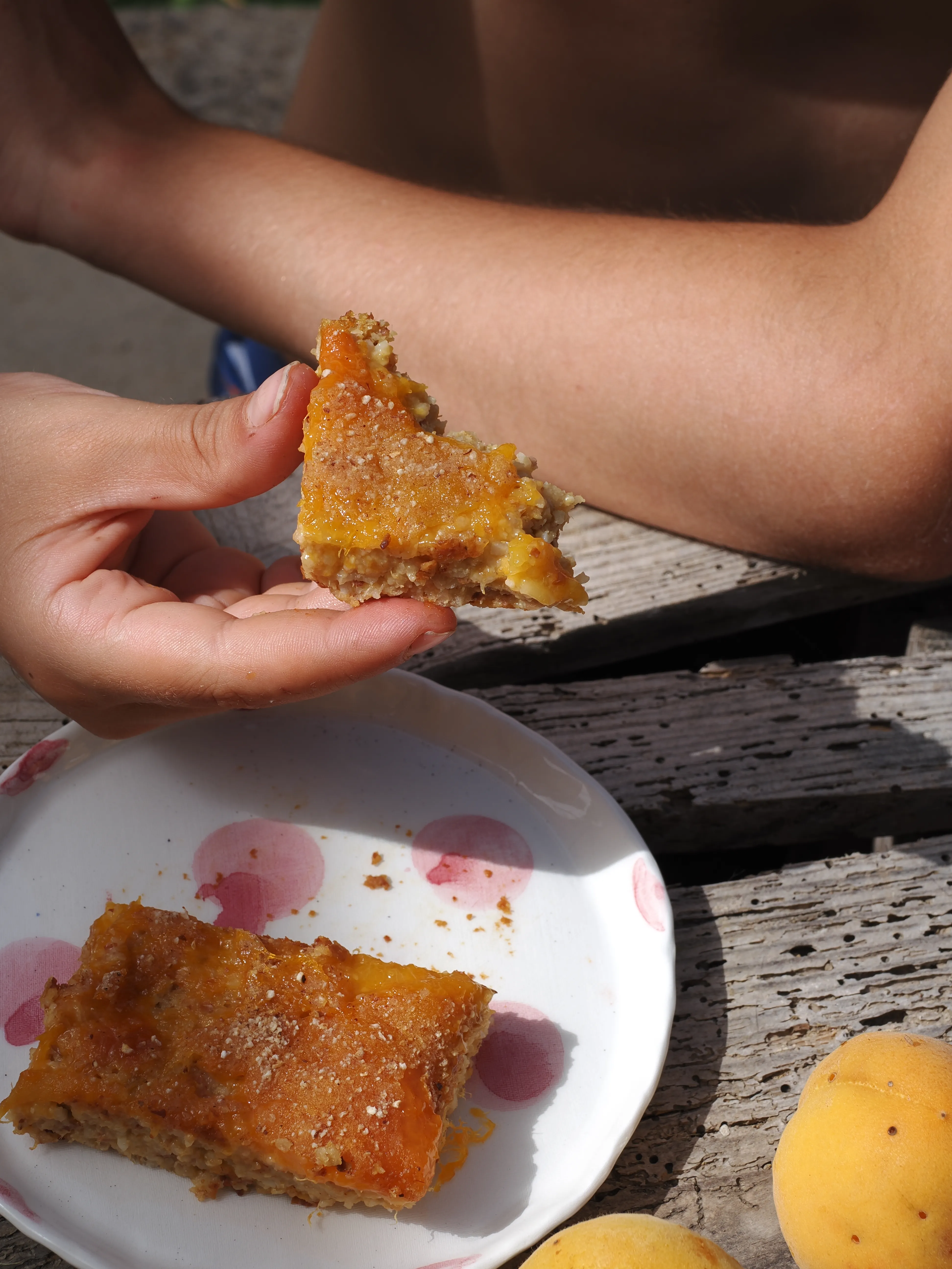 Dwelling in Nature with Olympus