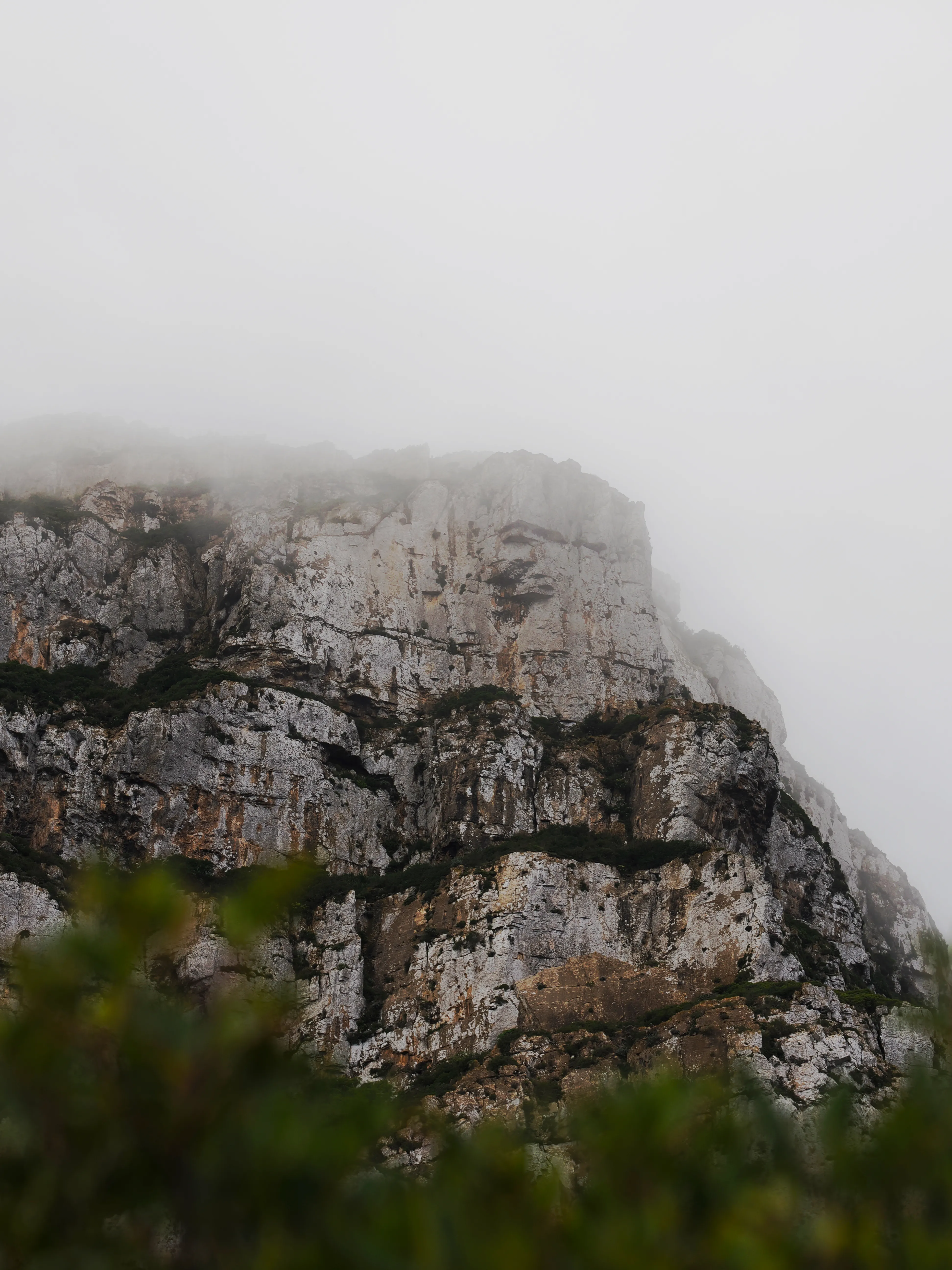 Respiro fiorito dell'autunno a Marettimo. Fotografia del sentire