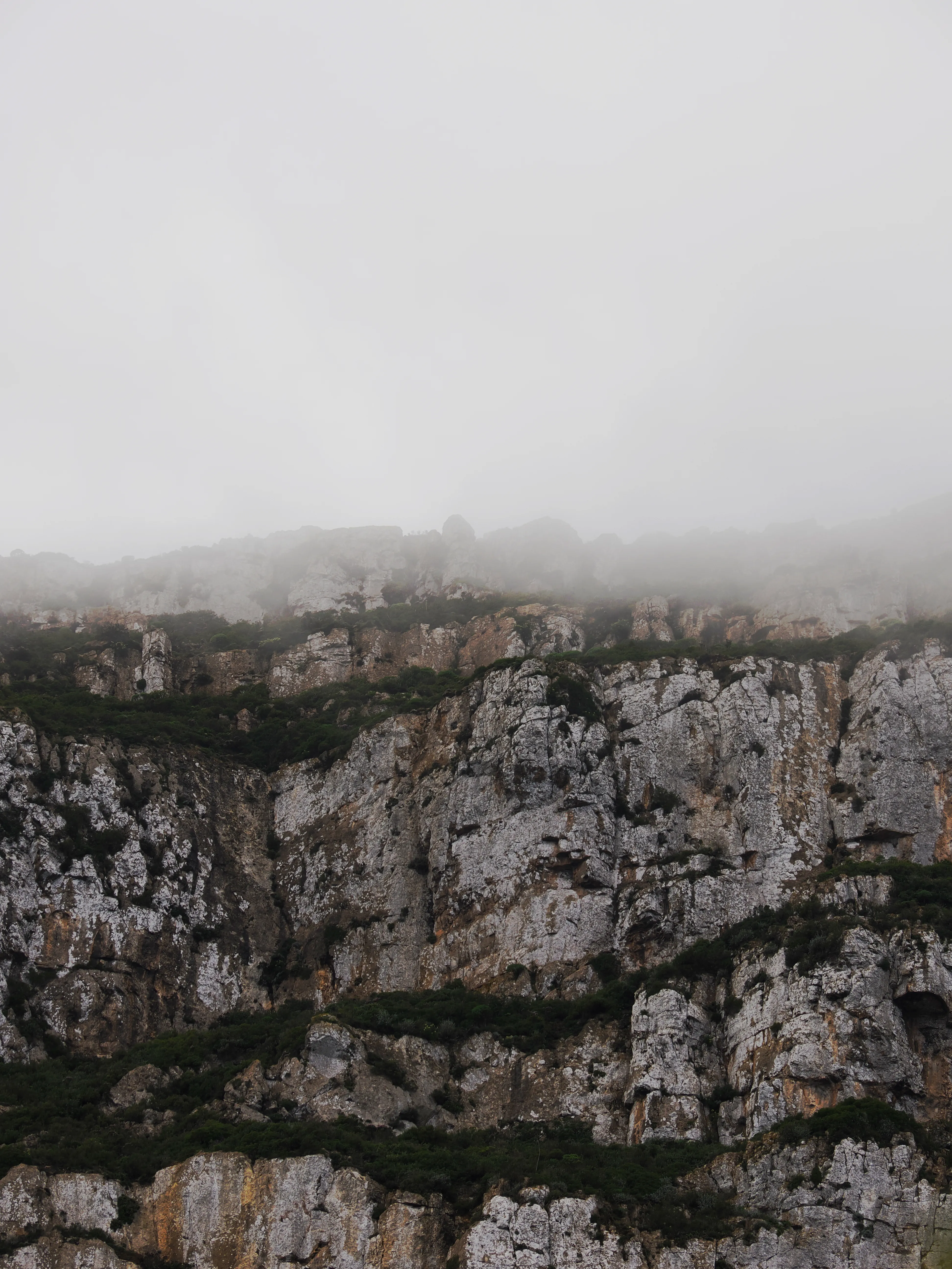 Respiro fiorito dell'autunno a Marettimo. Fotografia del sentire