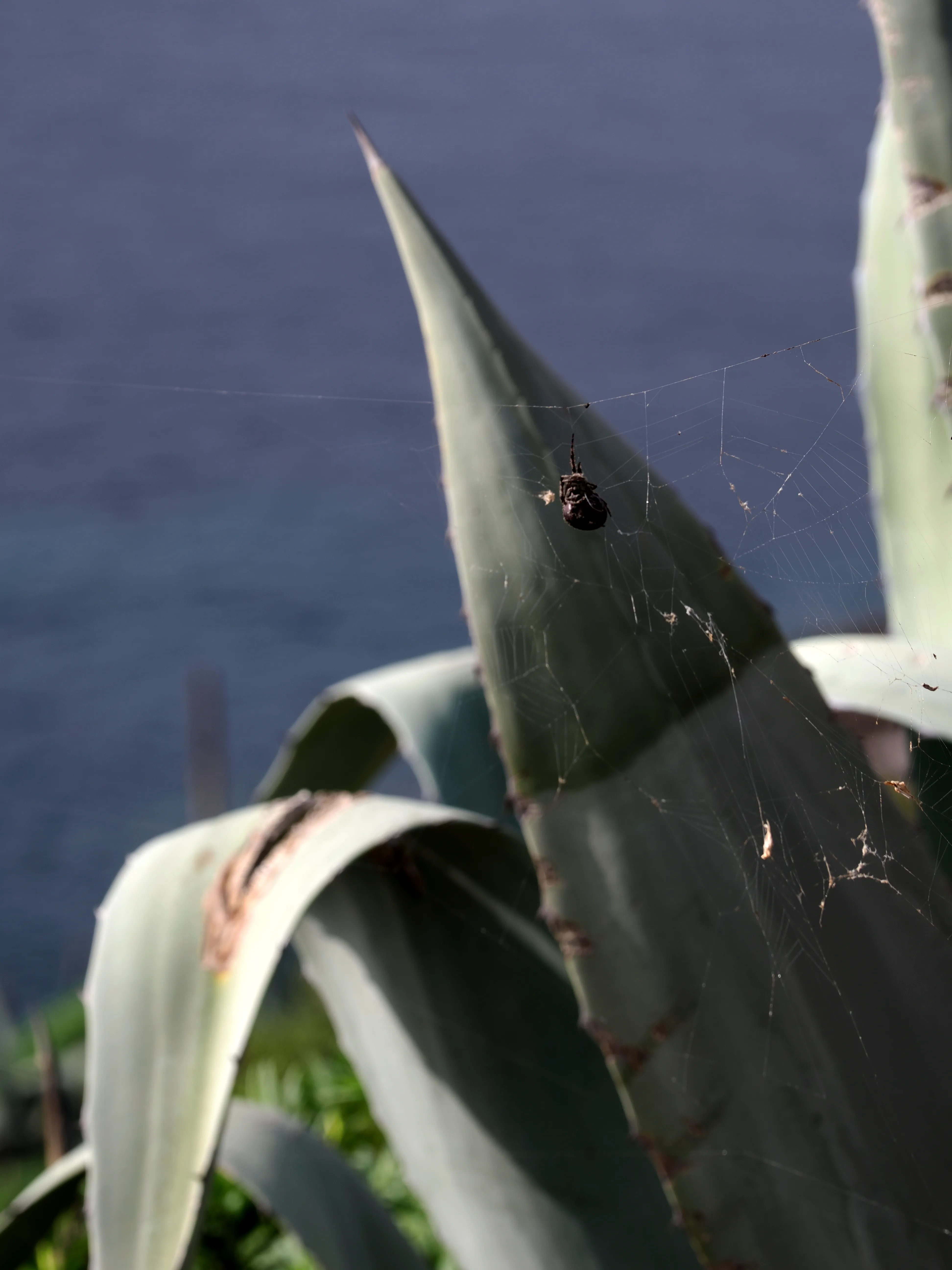 Sguardo a Levanzo. Fotografia del sentire
