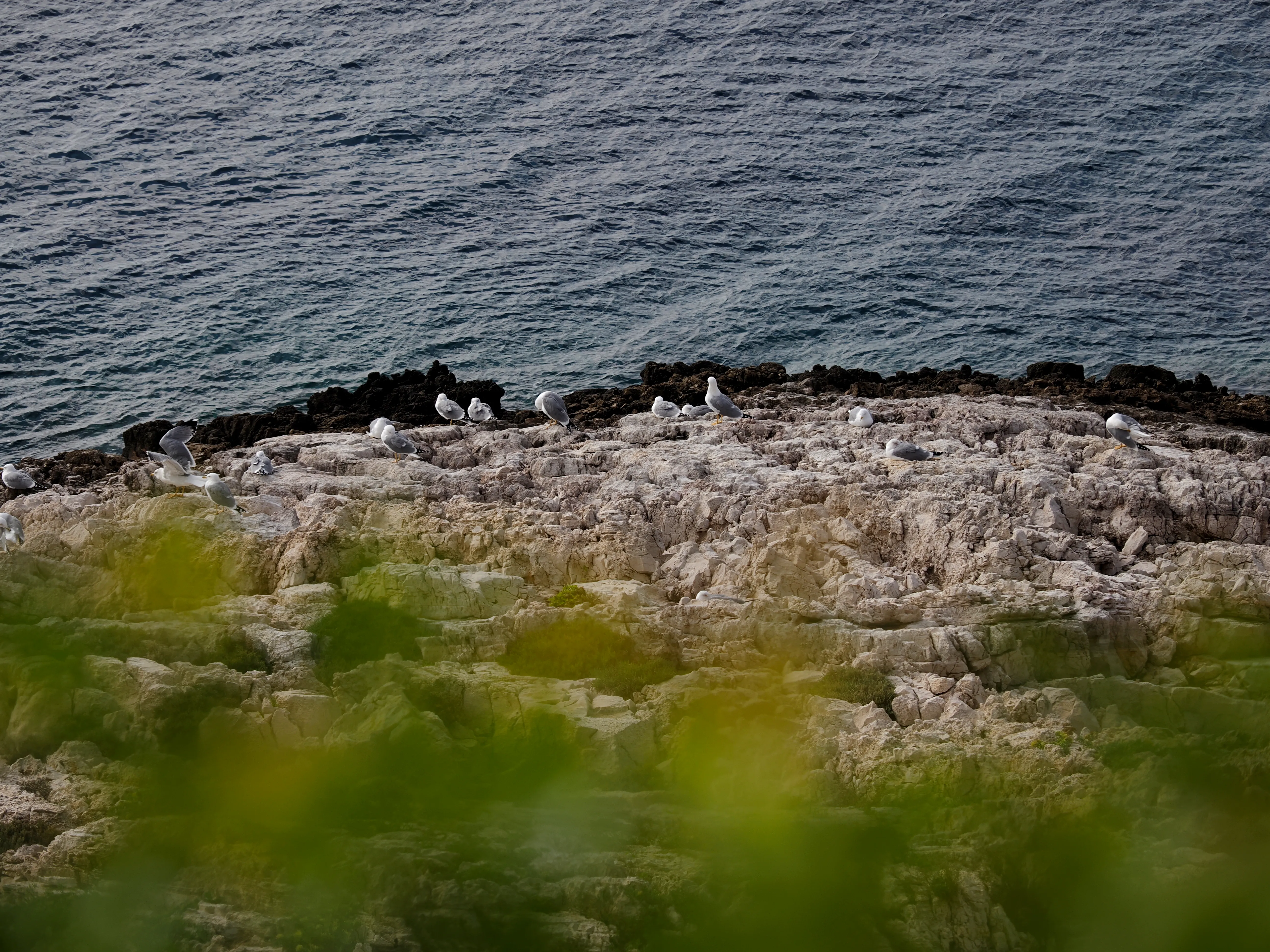 Sguardo a Levanzo. Fotografia del sentire