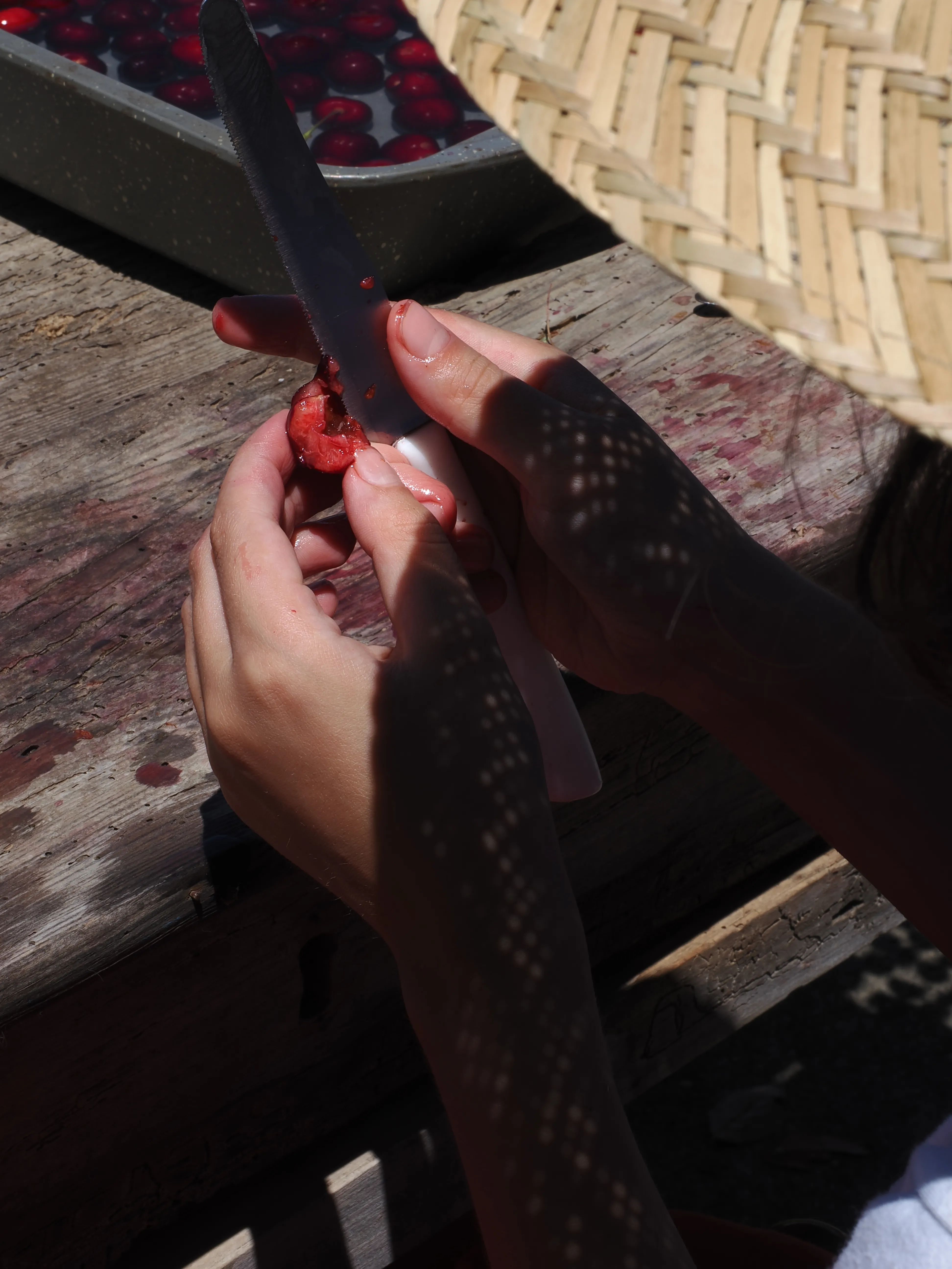 Dwelling in Nature with Olympus