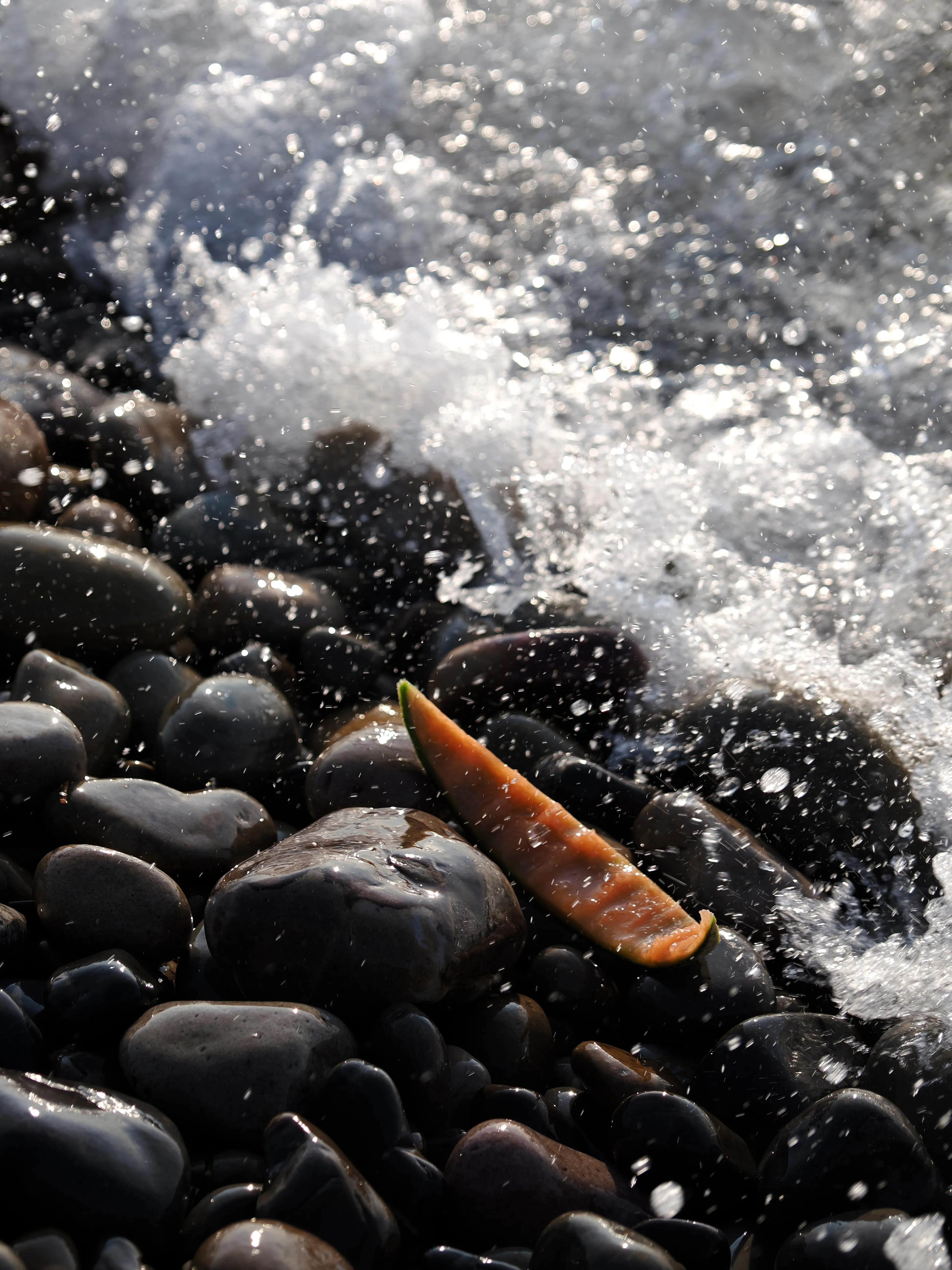 Il succo di un'estate.