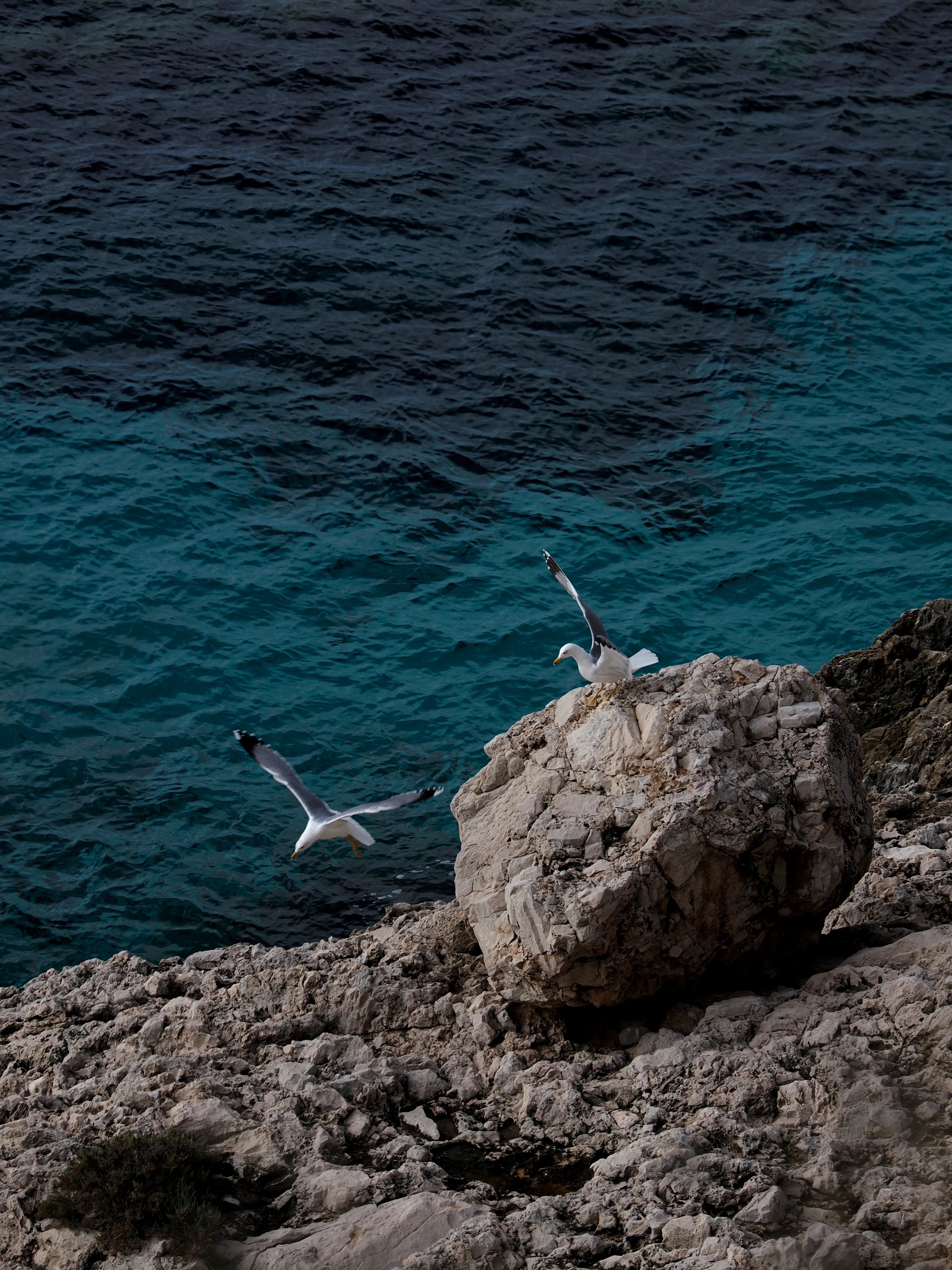 Sguardo a Levanzo. Fotografia del sentire