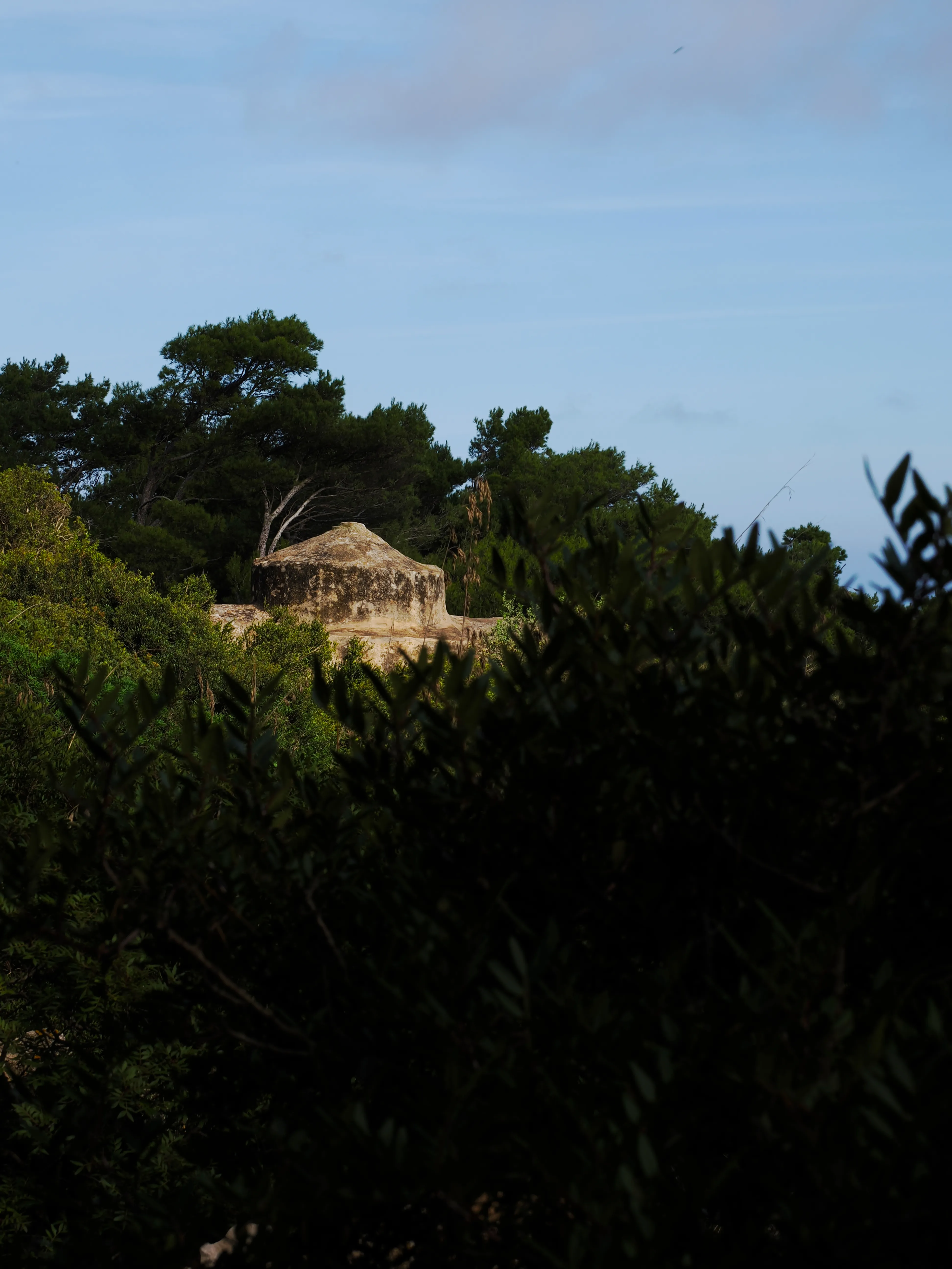 Respiro fiorito dell'autunno a Marettimo. Fotografia del sentire