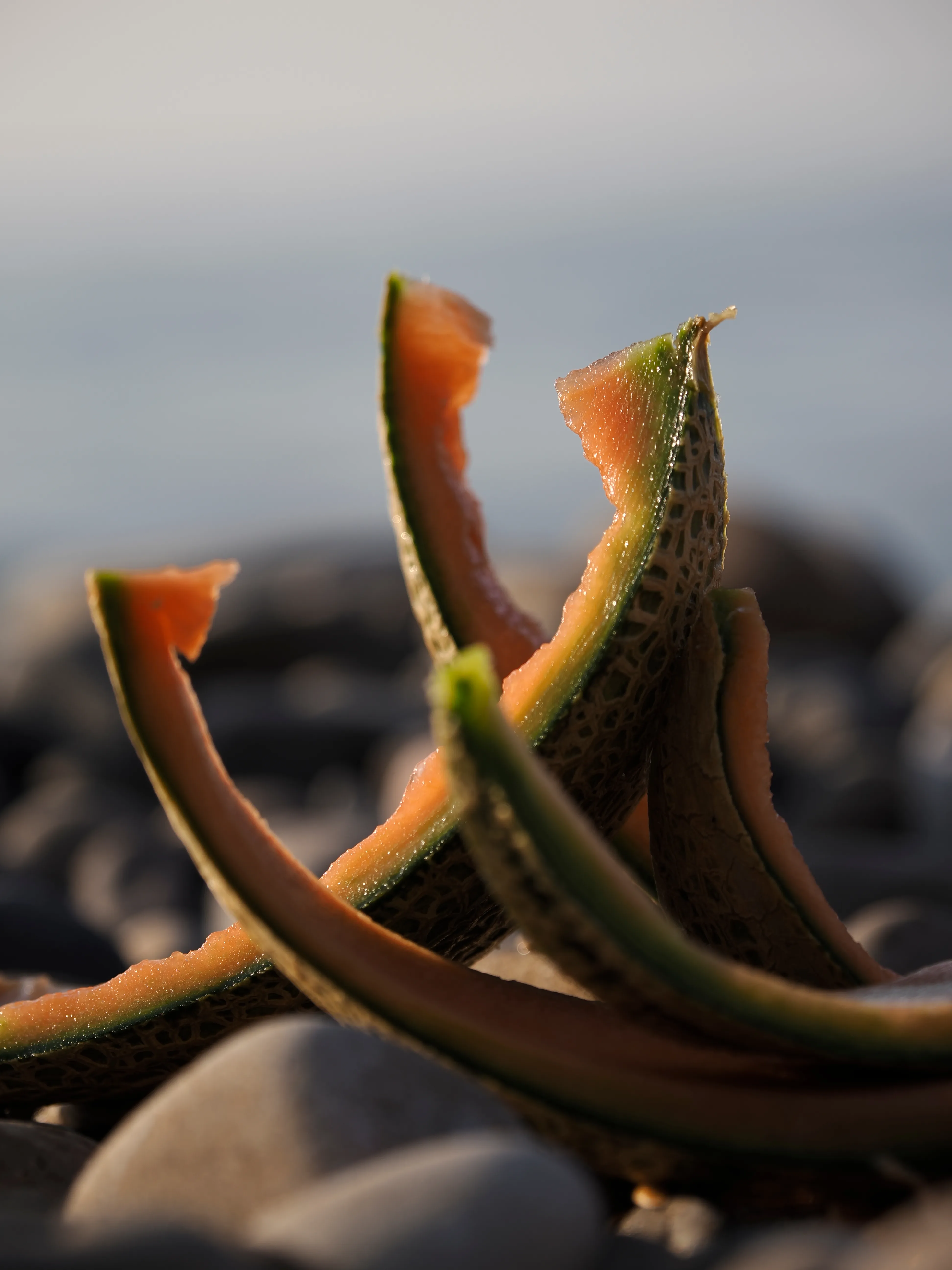 Il succo di un'estate.