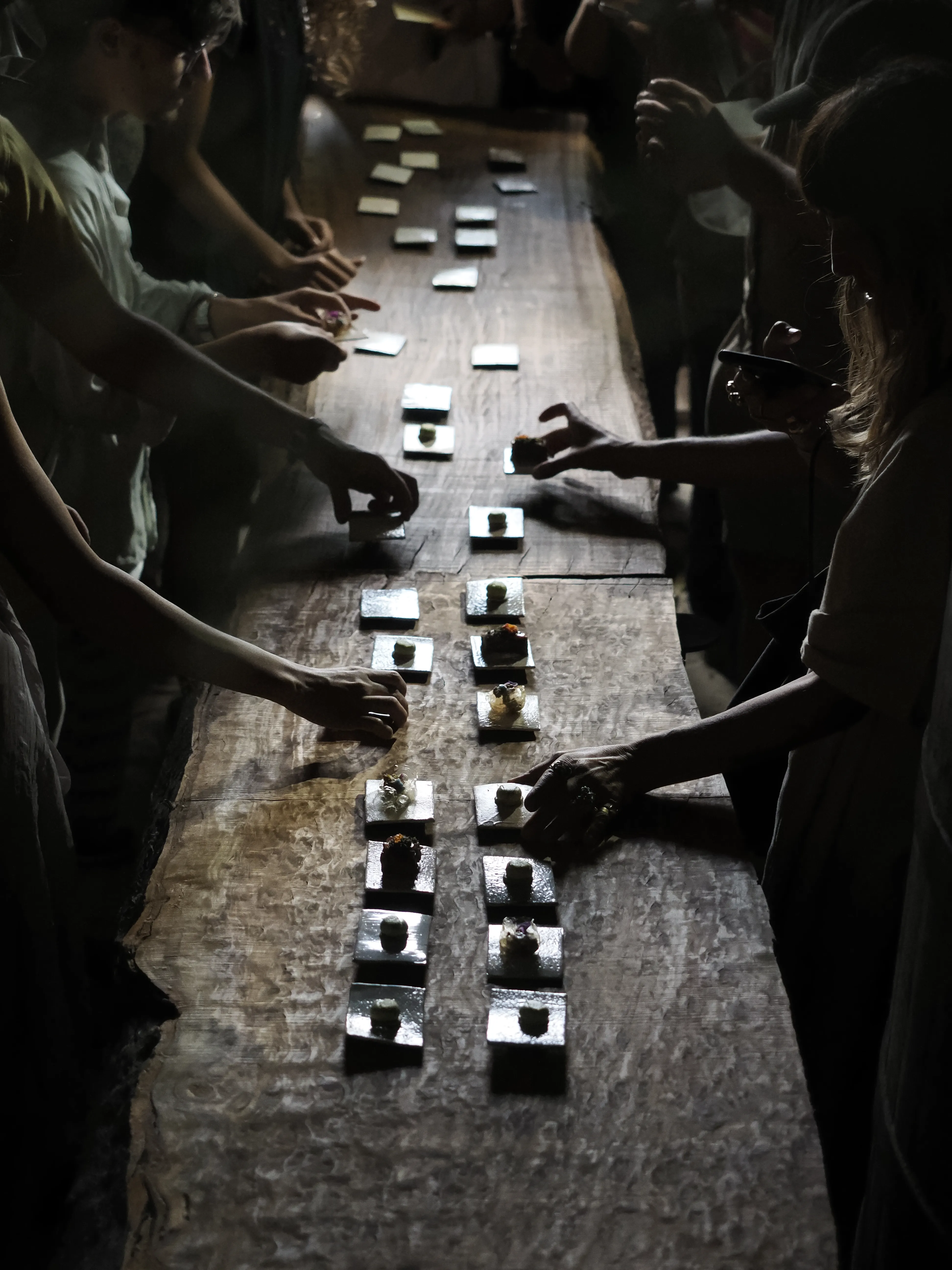 Régis Baudy. Lo chef artista e la sua poetica del vegetale.